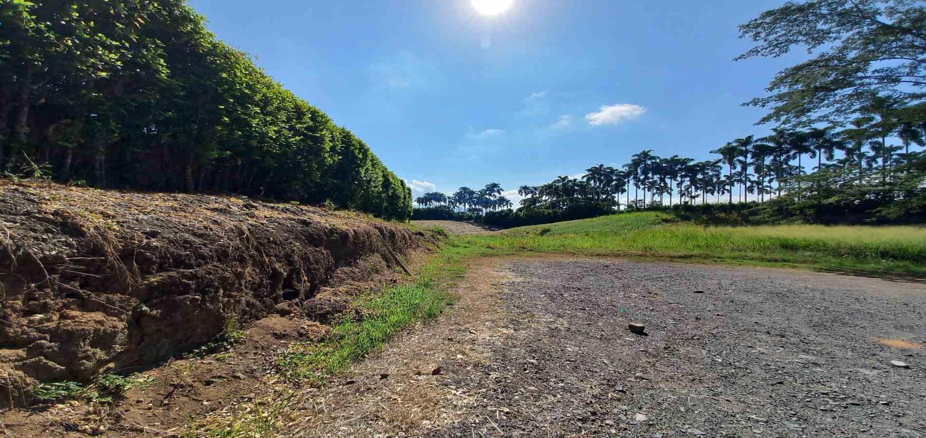 Foto de Lote / terreno en Venta en Cerritos, Pereira - 11 - 279069860