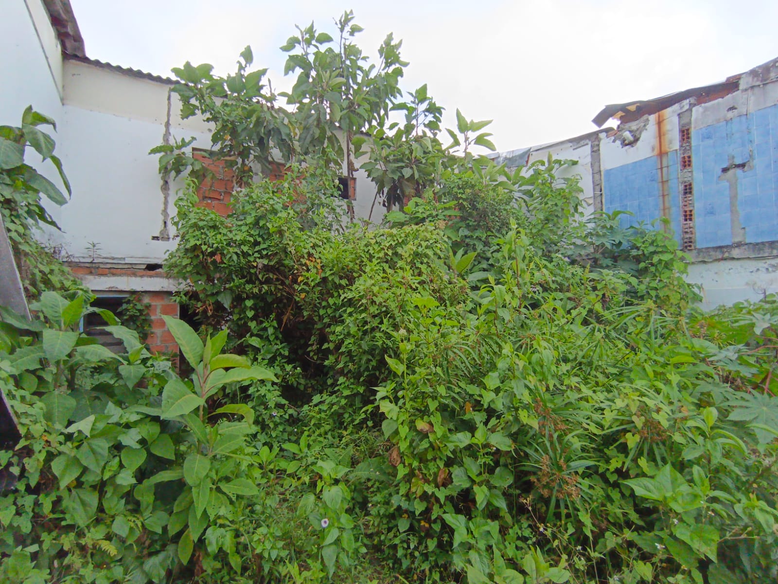 Foto de Lote / terreno en Venta en Fátima, Manizales - 12 - 279068979