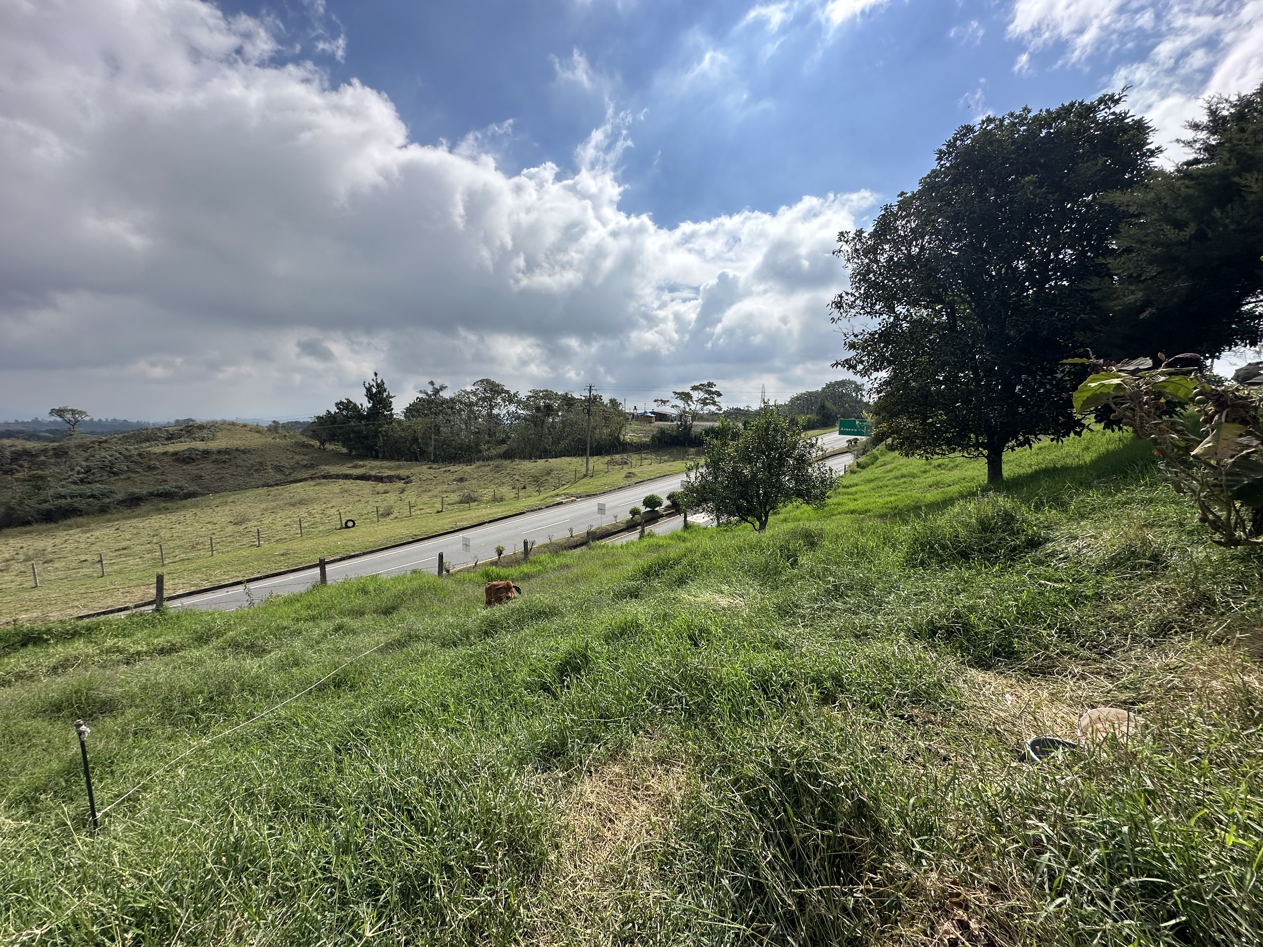 Foto de Lote / terreno en Venta en Via circasia, Armenia  - 19 - 279070024