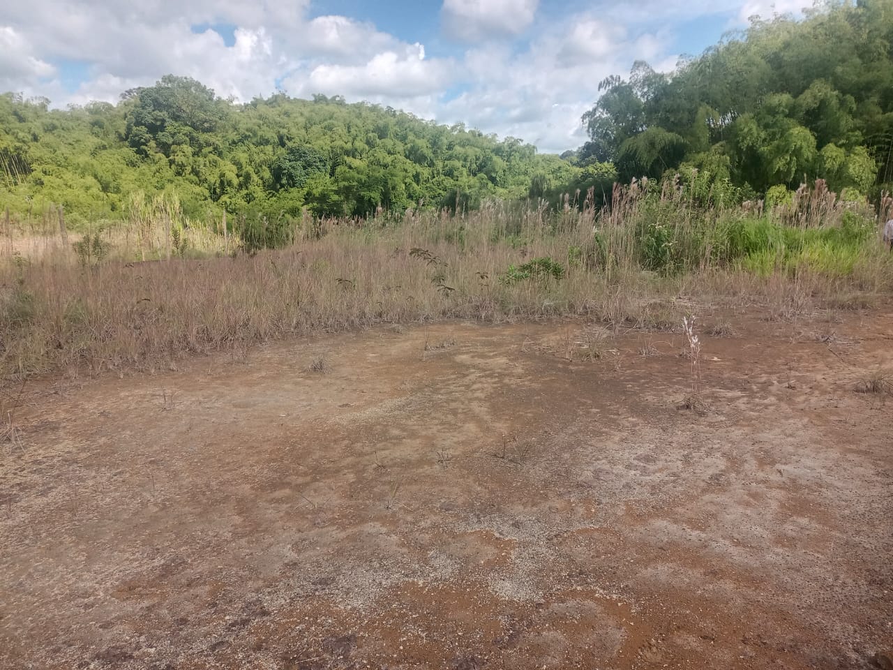 Foto de Lote / terreno para Venta en Via armenia, Pereira - 279052343
