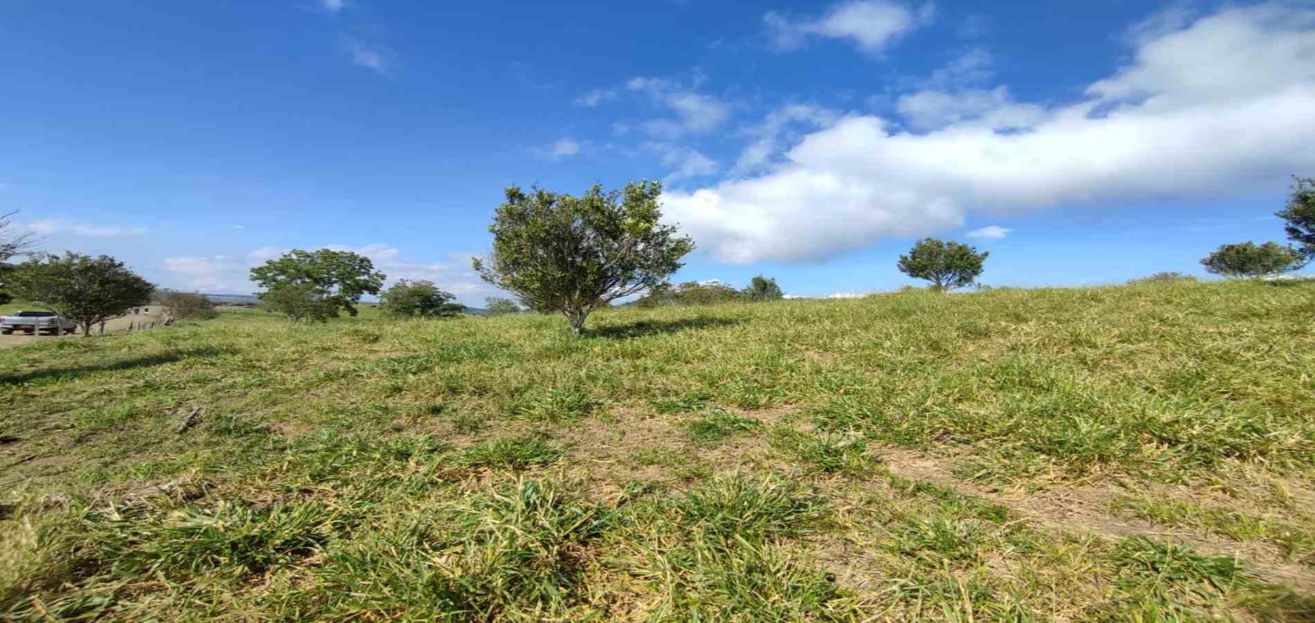 Foto de Lote / terreno en Venta en Cerritos, Pereira - 3 - 279064552