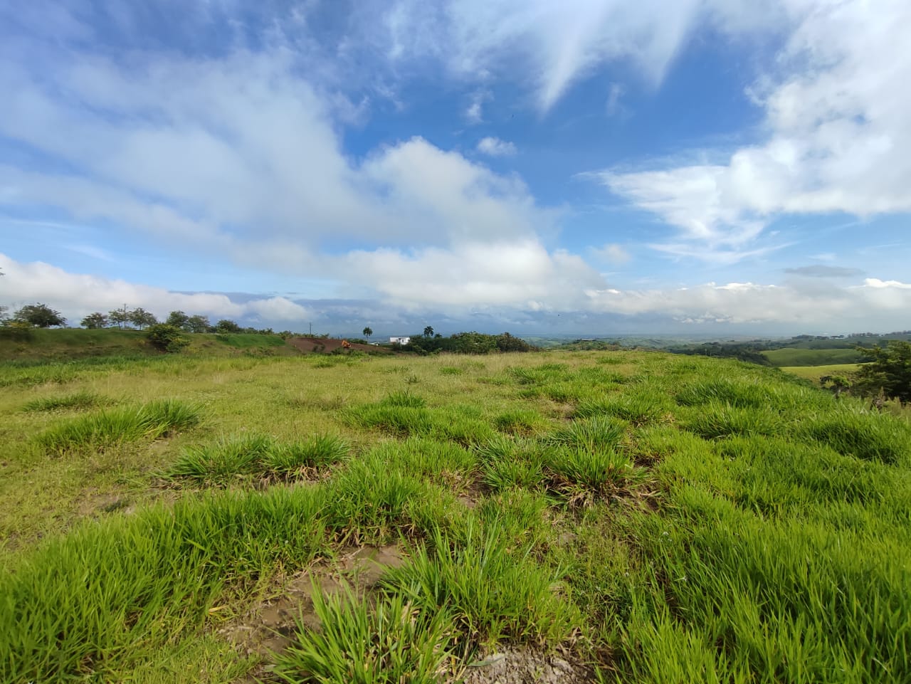 Foto de Lote / terreno para Venta en Cerritos, Pereira - 279063190