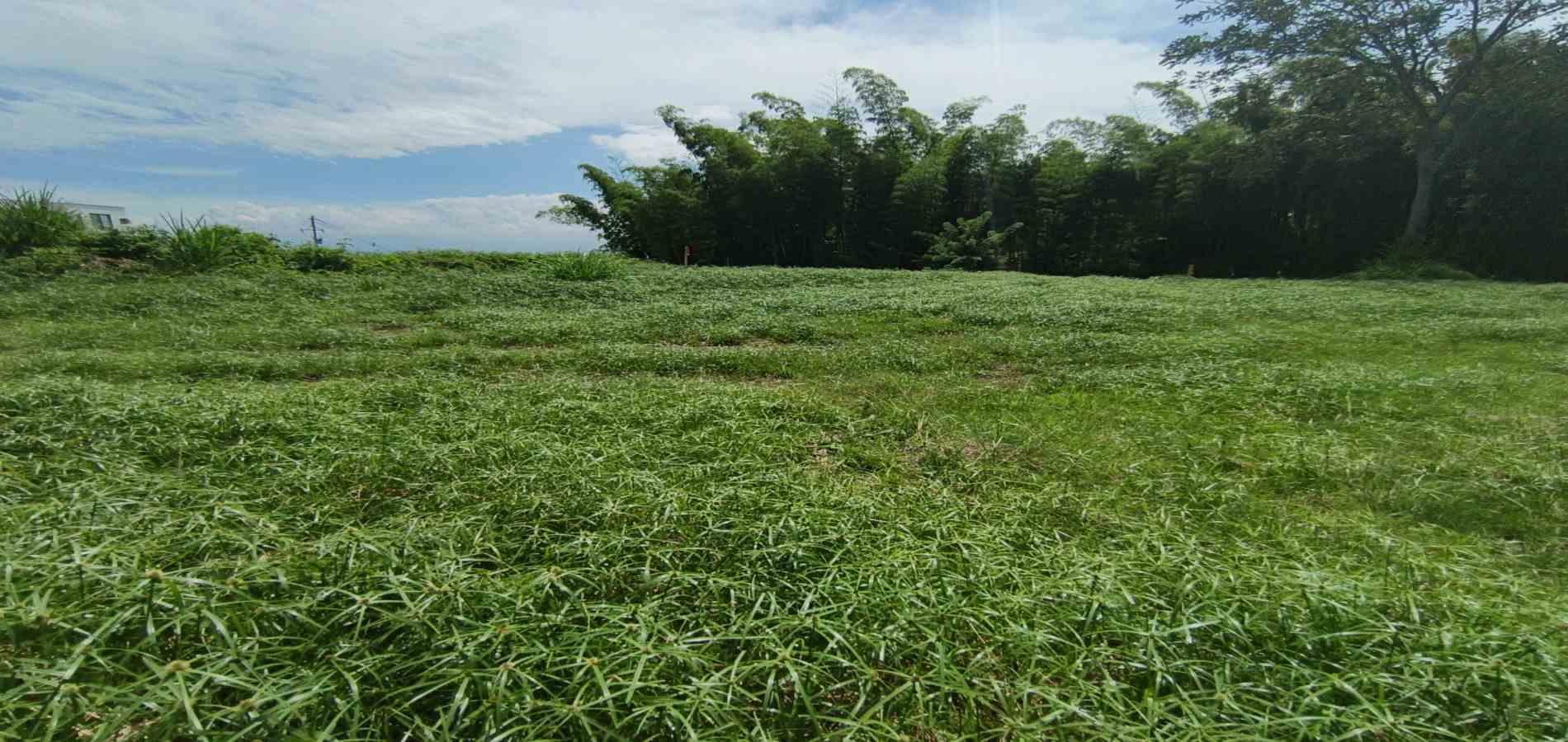 Foto de Lote / terreno en Venta en Vereda santagueda, Palestina - 10 - 279064609