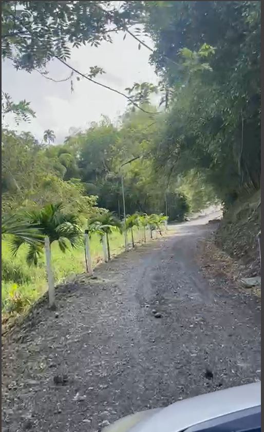 Foto de Lote / terreno en Venta en Via alcala, Pereira - 3 - 279060936