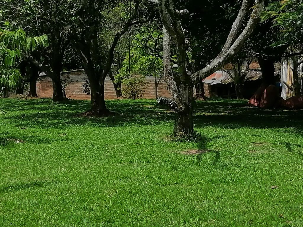 Foto de Lote / terreno en Venta en Cerritos, Pereira - 5 - 279025576