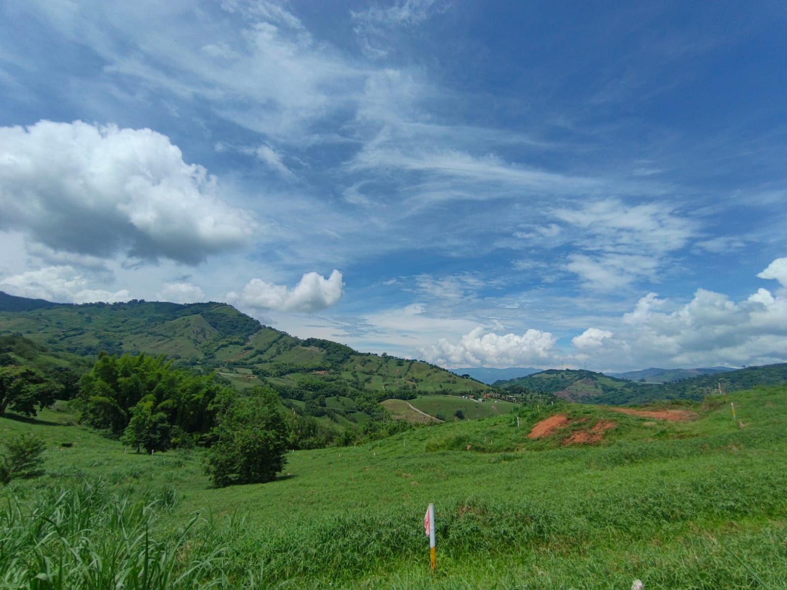 Foto de Lote / terreno en Venta en Vereda santagueda, Palestina - 3 - 279064778