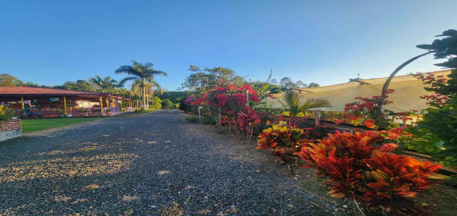 Foto de Finca en Venta en Filandia, Filandia - 29 - 279066535