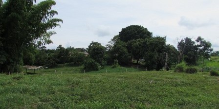 Foto de Lote / terreno en Venta en Vereda santagueda, Palestina - 3 - 27909649