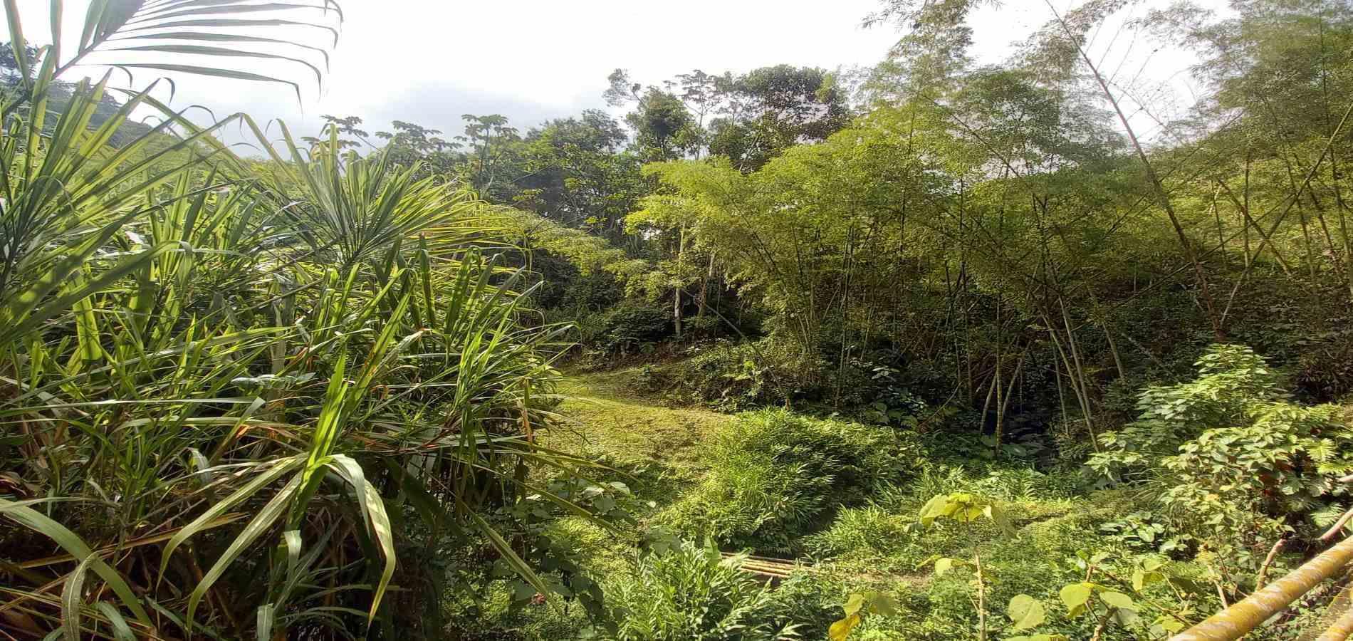 Foto de Lote / terreno en Venta en Vereda la trinidad, Manizales - 14 - 279062689