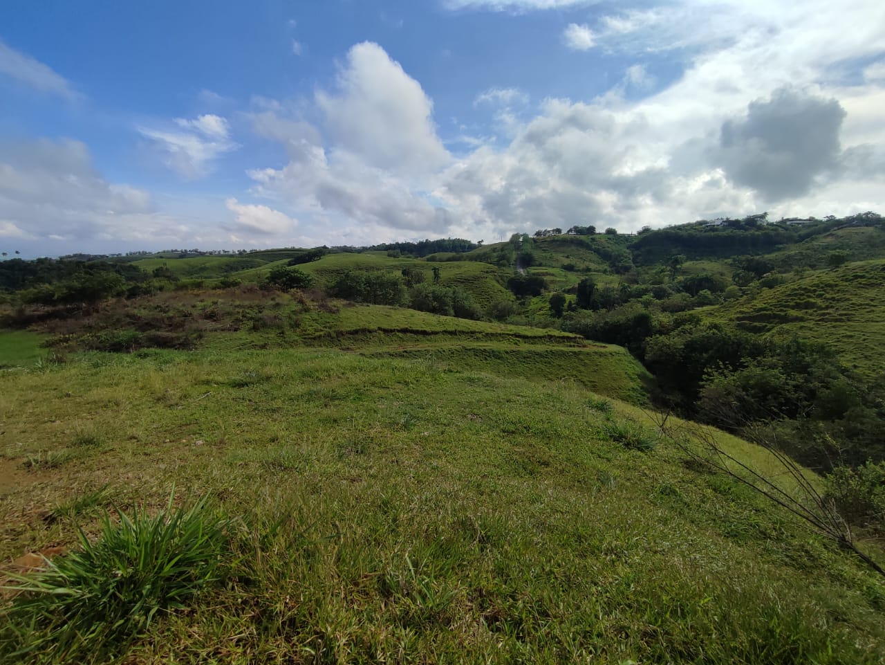 Foto de Lote / terreno en Venta en Cerritos, Pereira - 12 - 279063217