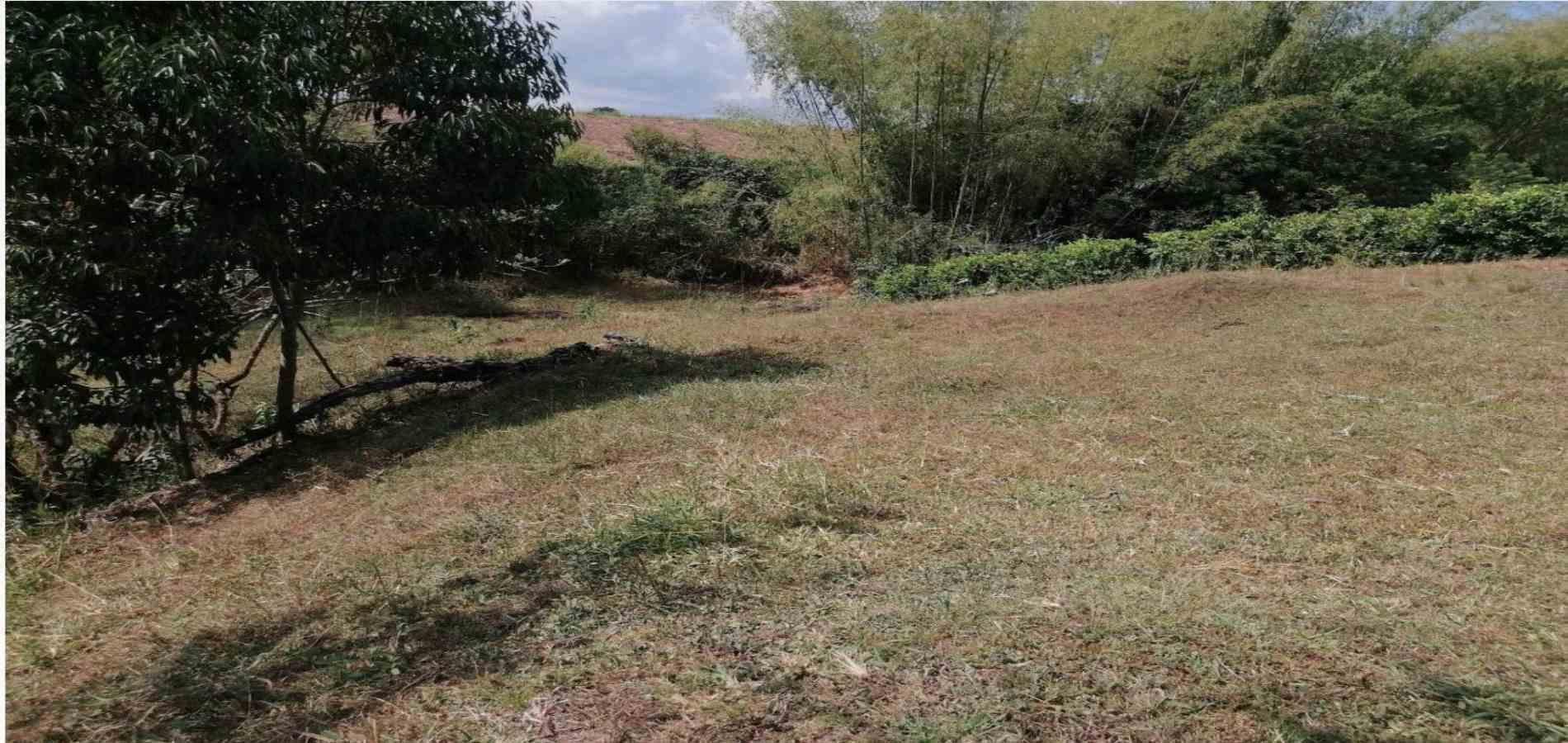 Foto de Lote / terreno en Venta en Cerritos, Pereira - 7 - 2791024501