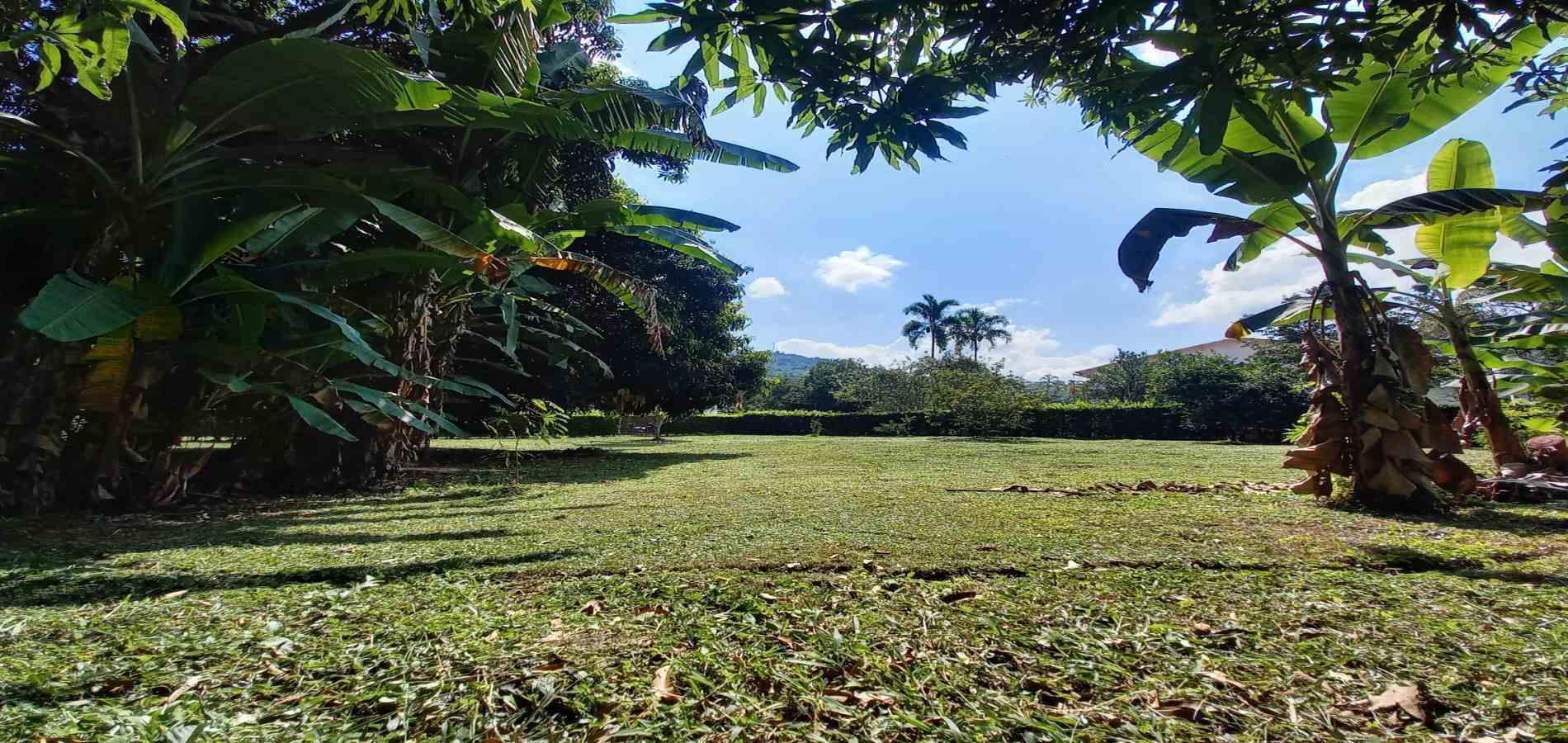 Foto de Lote / terreno en Venta en Vereda santagueda, Palestina - 10 - 279060420