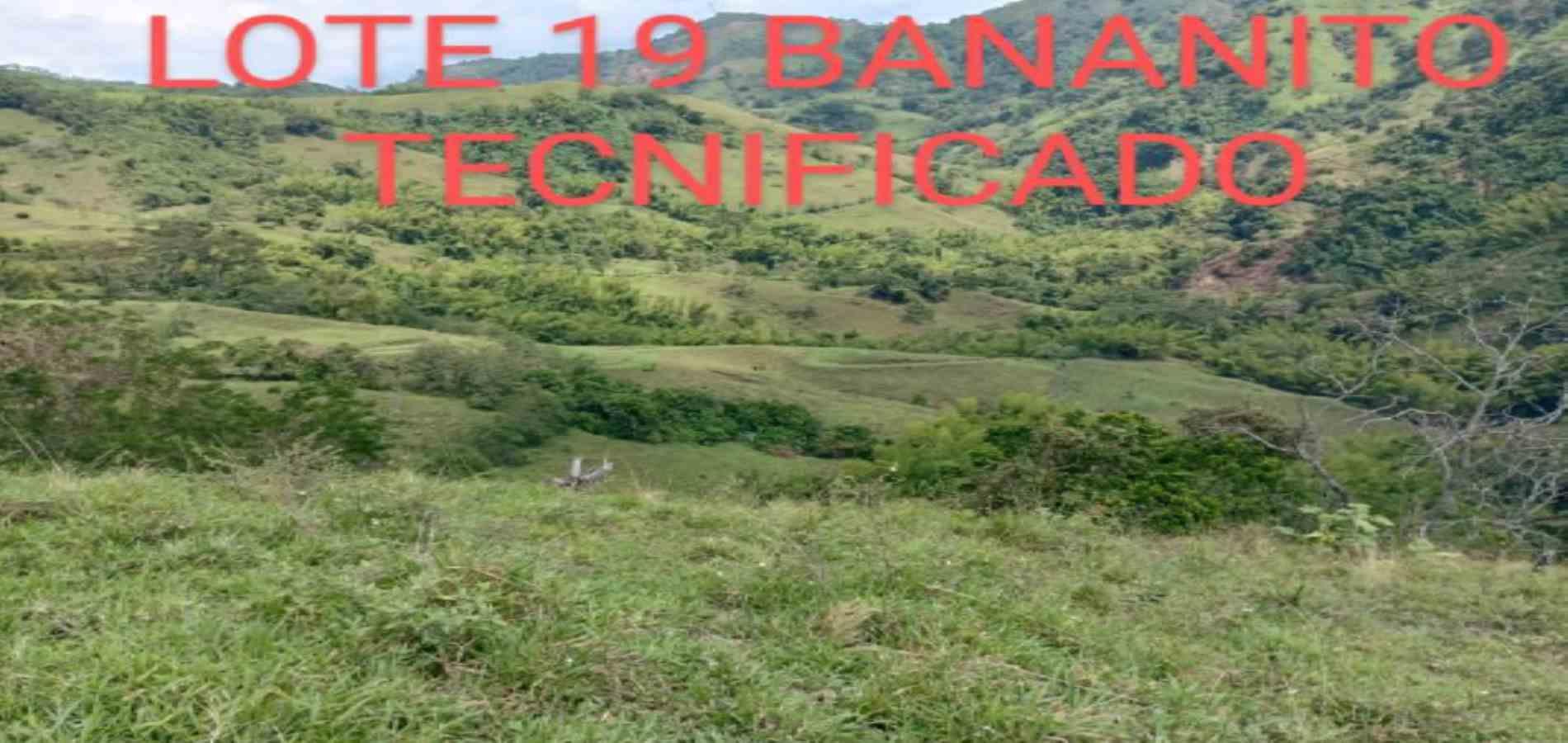 Foto de Lote / terreno en Venta en Vereda armenia , Neira - 28 - 279026013