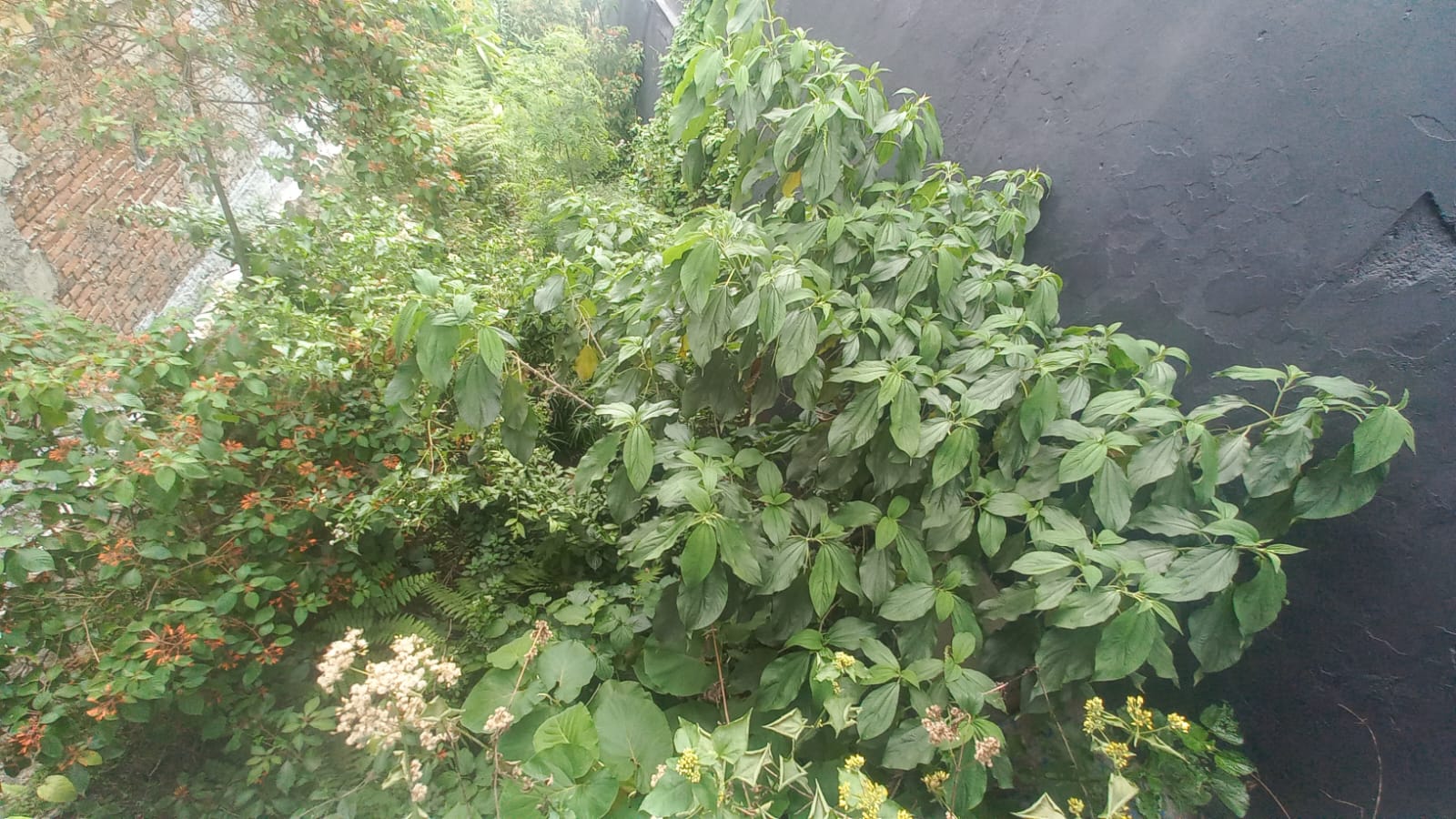 Foto de Lote / terreno en Venta en Fundadores, Armenia  - 10 - 279056606