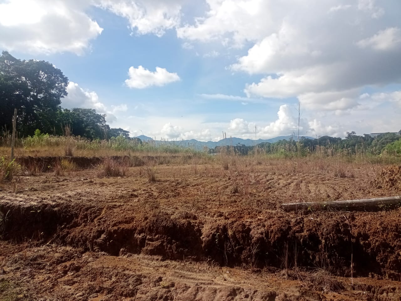 Foto de Lote / terreno en Venta en Via armenia, Pereira - 10 - 279052343