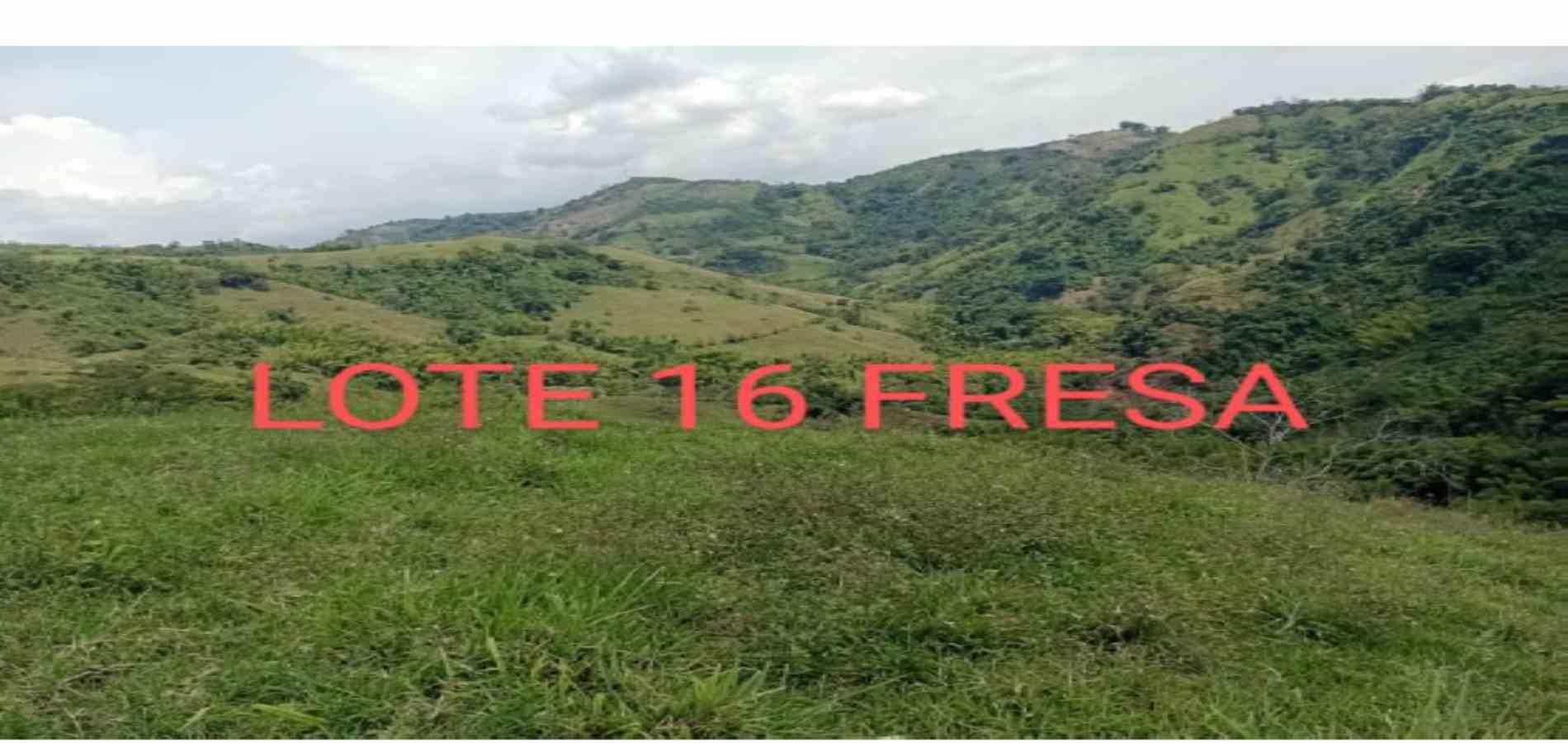 Foto de Lote / terreno en Venta en Vereda armenia , Neira - 24 - 279026013