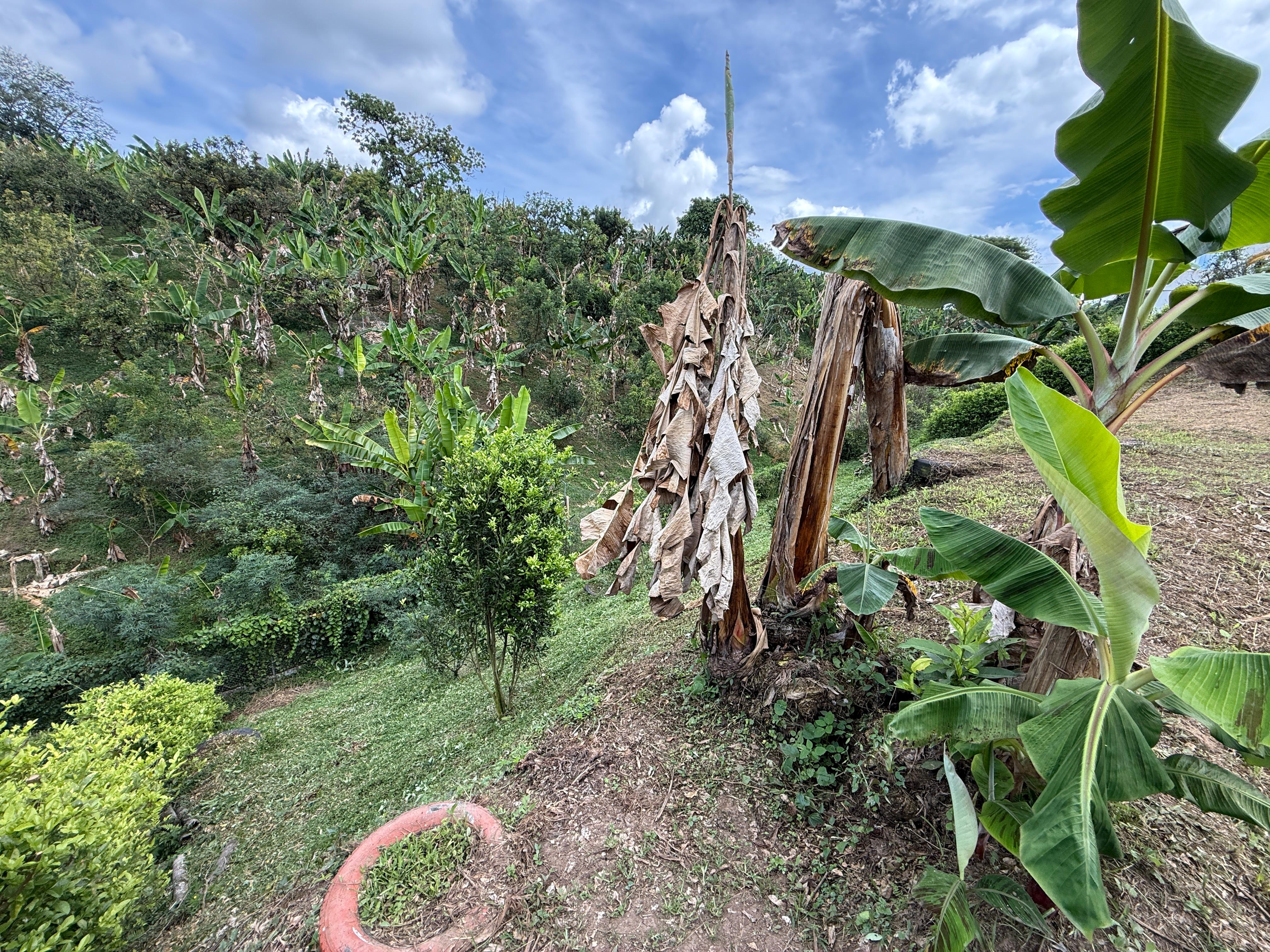 Foto de Lote / terreno en Venta en Altagracia, Pereira - 5 - 279063993
