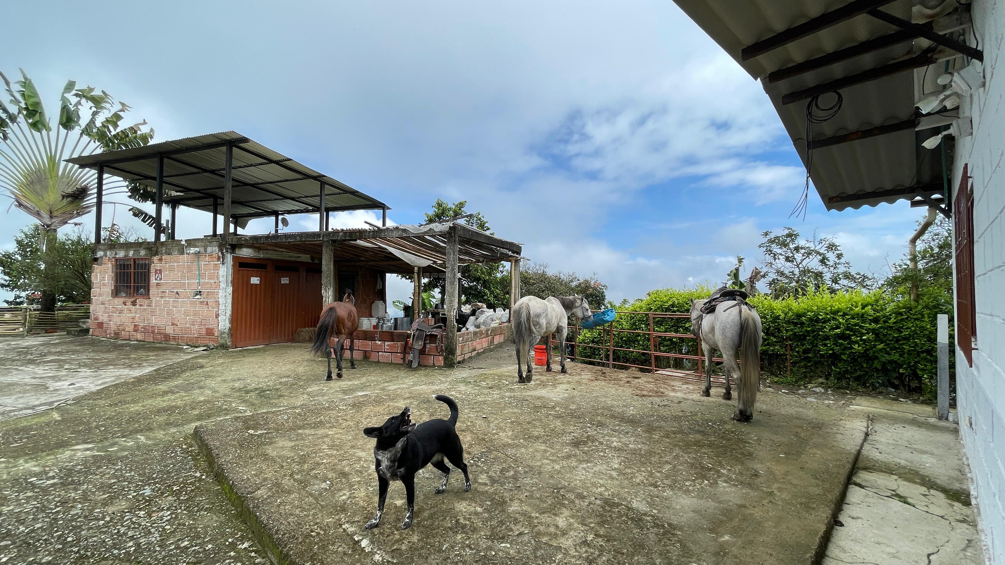 Foto de Finca en Venta en La cabaña, Manizales - 2 - 279062726