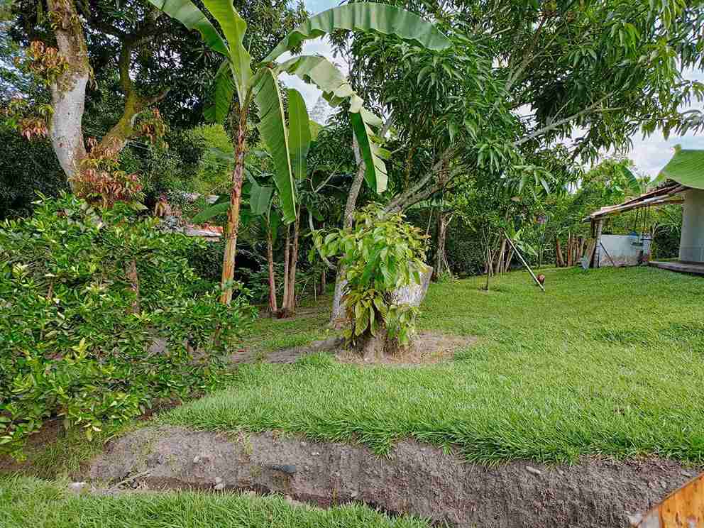 Foto de Casa campestre en Venta en Kilometro 41, Manizales - 3 - 279057741