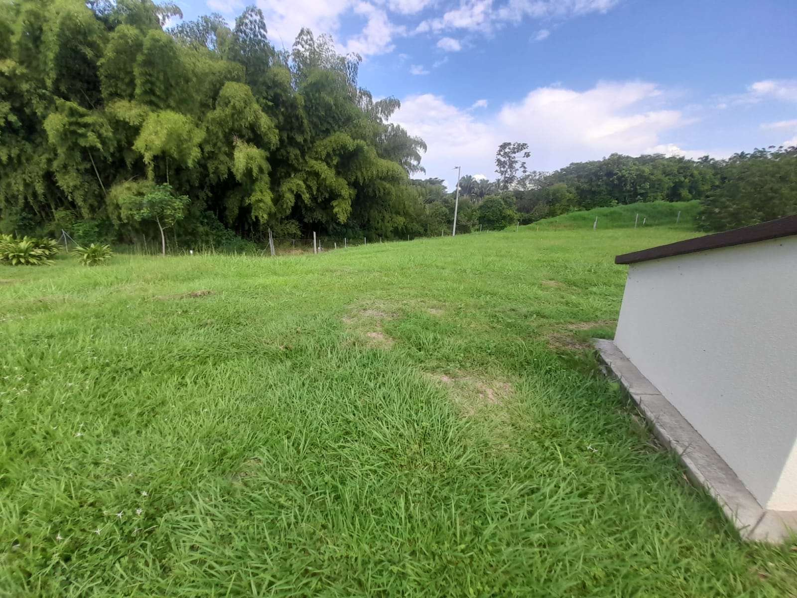Foto de Lote / terreno en Venta en La floresta, Pereira - 10 - 279065198