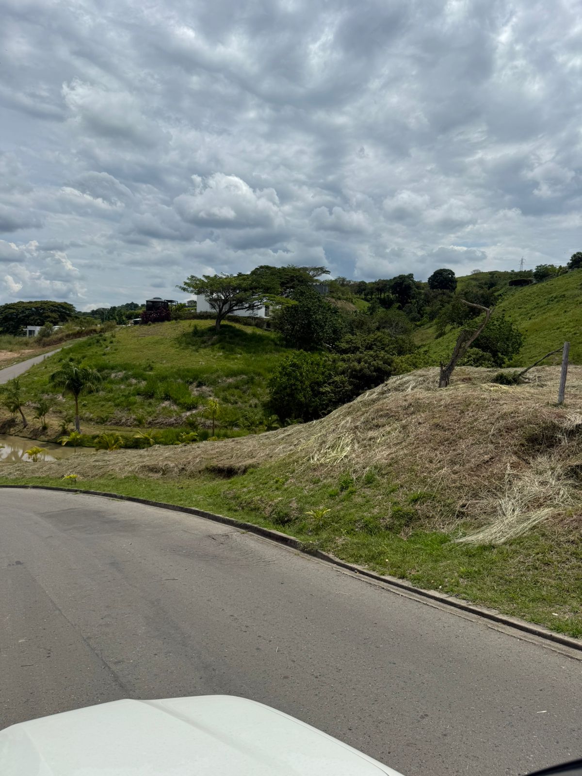Foto de Lote / terreno en Venta en Cerritos, Pereira - 5 - 279065028