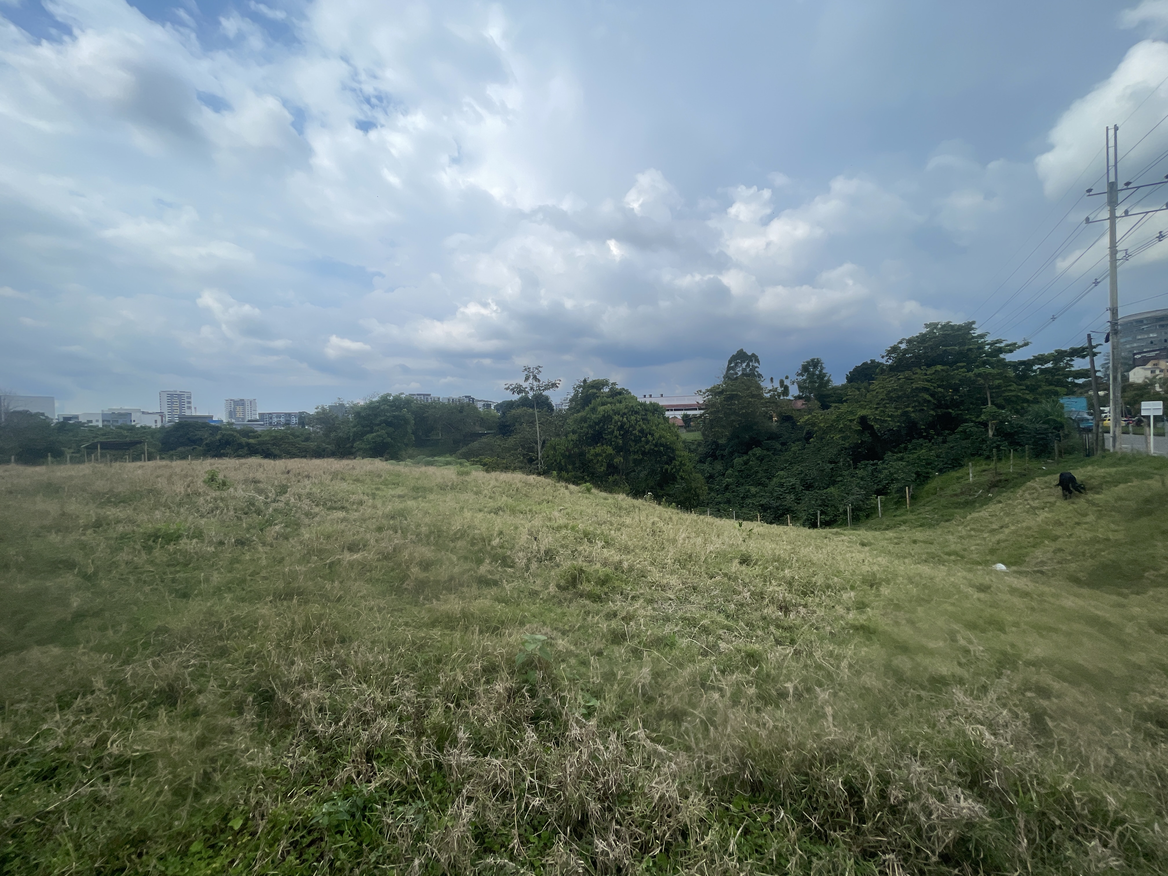 Foto de Lote / terreno en Venta en Avenida centenario, Armenia  - 3 - 279065799