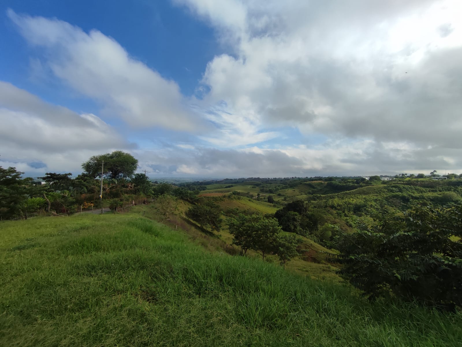 Foto de Lote / terreno en Venta en Cerritos, Pereira - 12 - 279063207