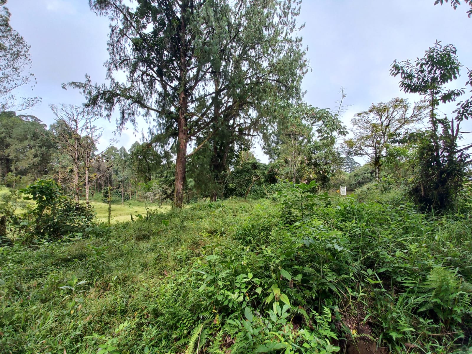 Foto de Lote / terreno en Venta en Via armenia, Pereira - 5 - 279066674
