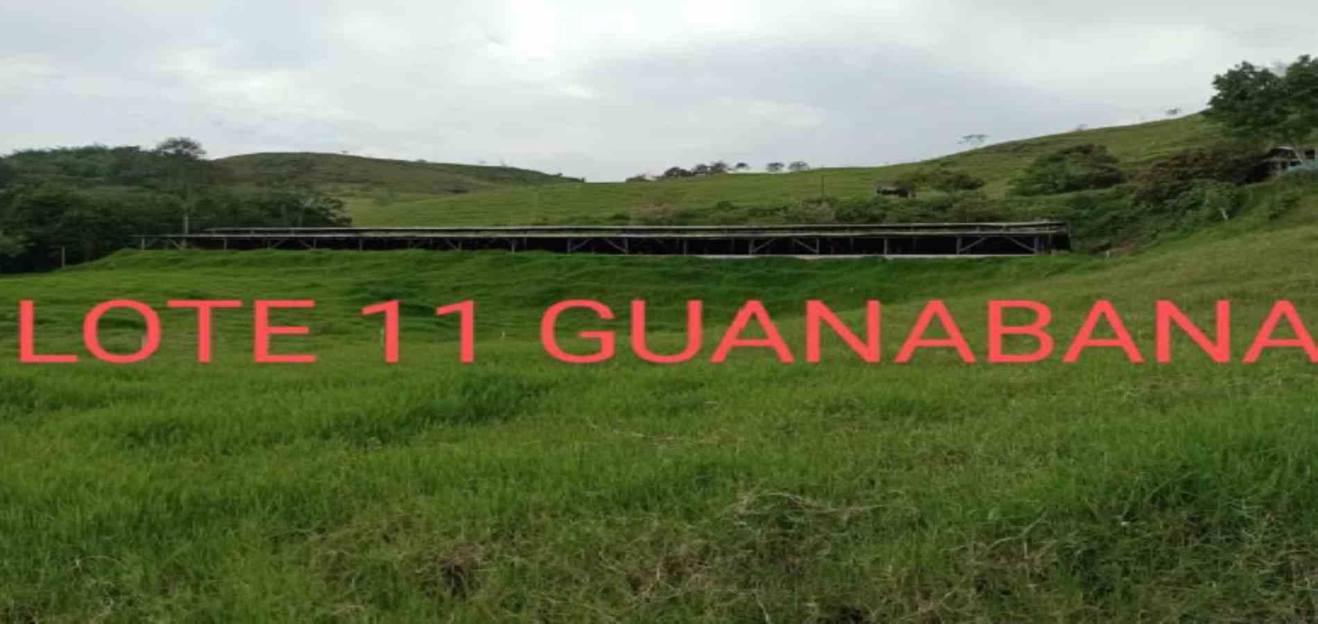 Foto de Lote / terreno en Venta en Vereda armenia , Neira - 22 - 279026013