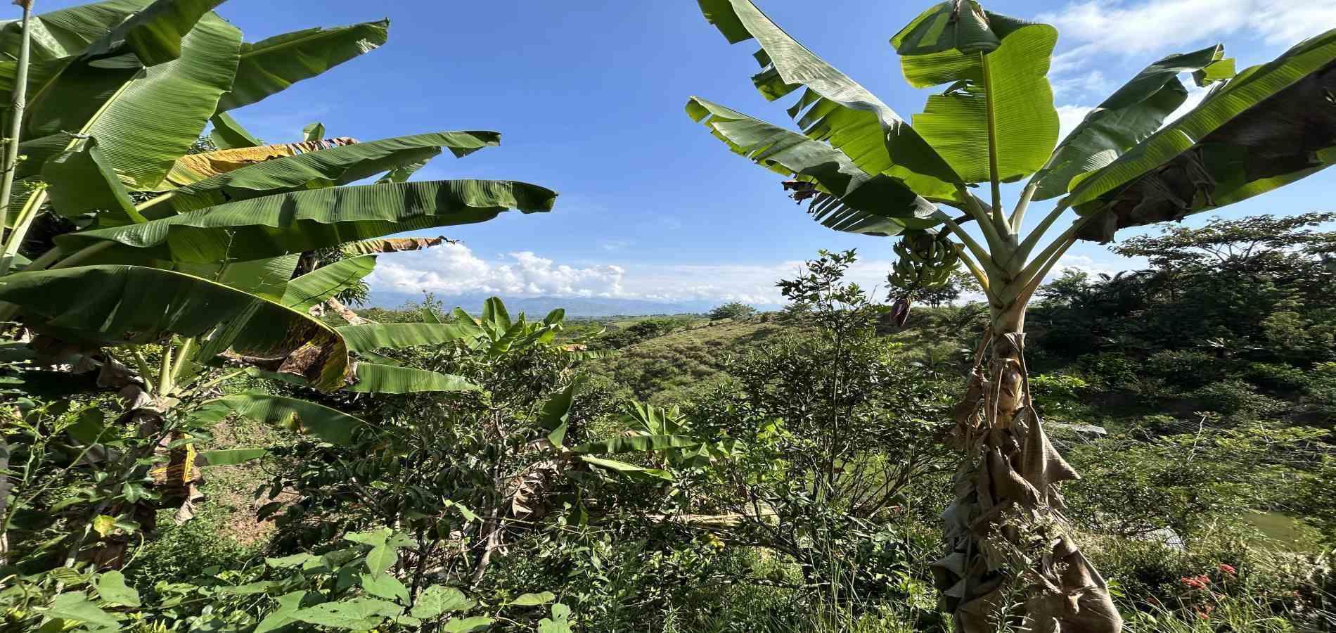 Foto de Lote / terreno en Venta en Cerritos, Pereira - 10 - 279068246