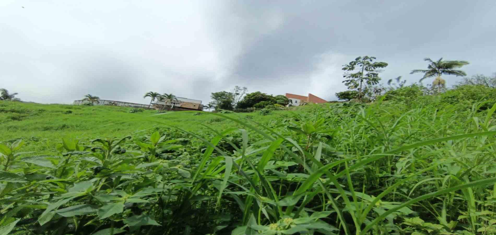 Foto de Lote / terreno en Venta en San bernardo del viento , Manizales - 25 - 279068029