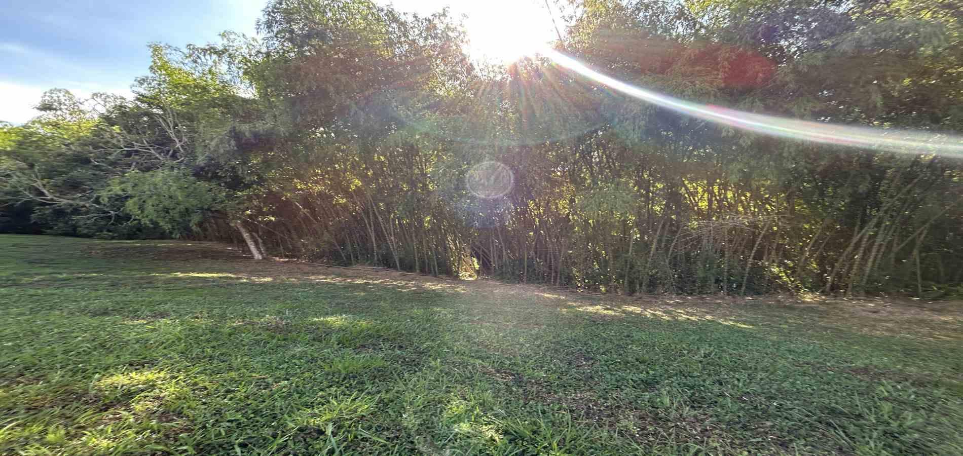Foto de Lote / terreno en Venta en Cerritos, Pereira - 9 - 279069202