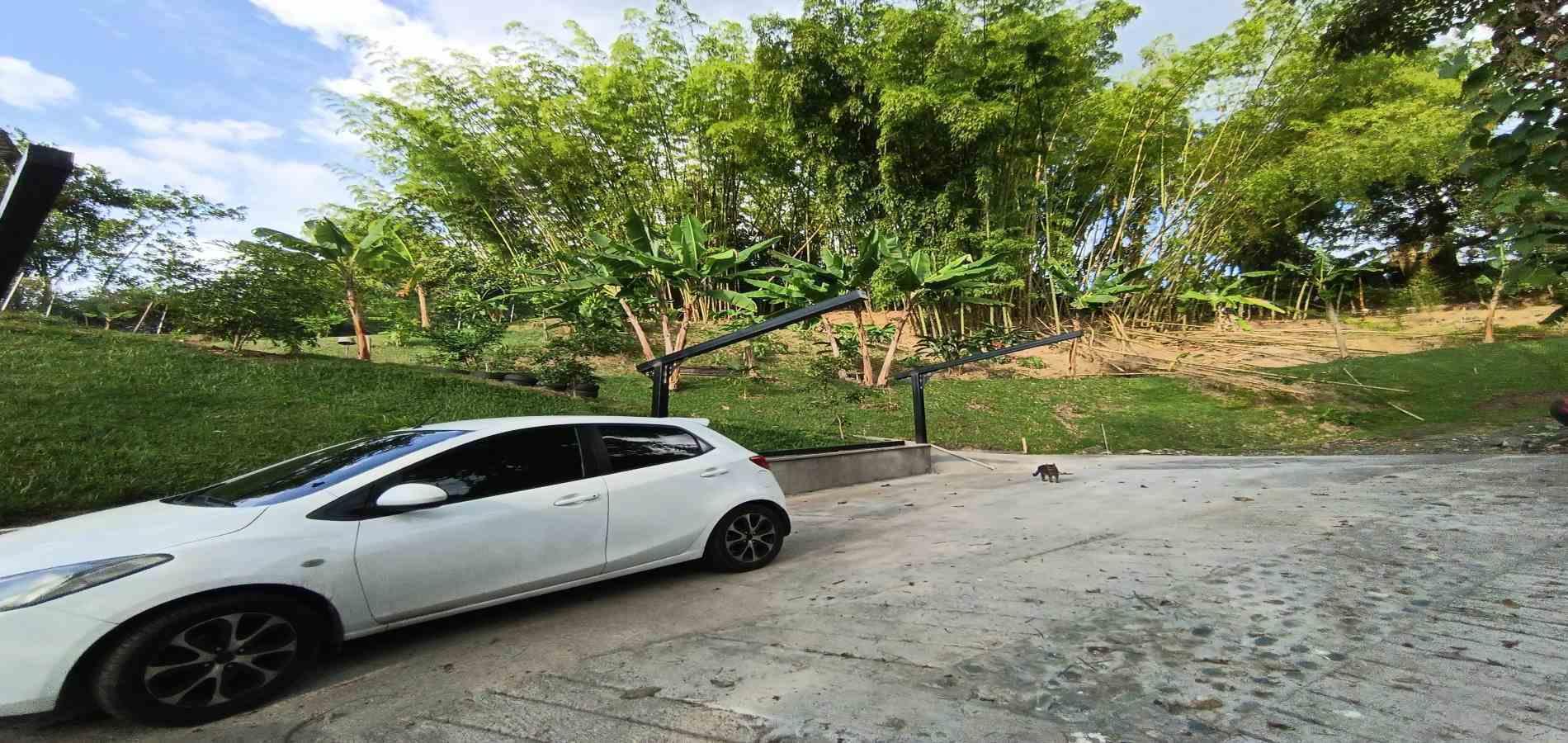 Foto de Finca en Venta en San peregrino, Manizales - 8 - 279068243