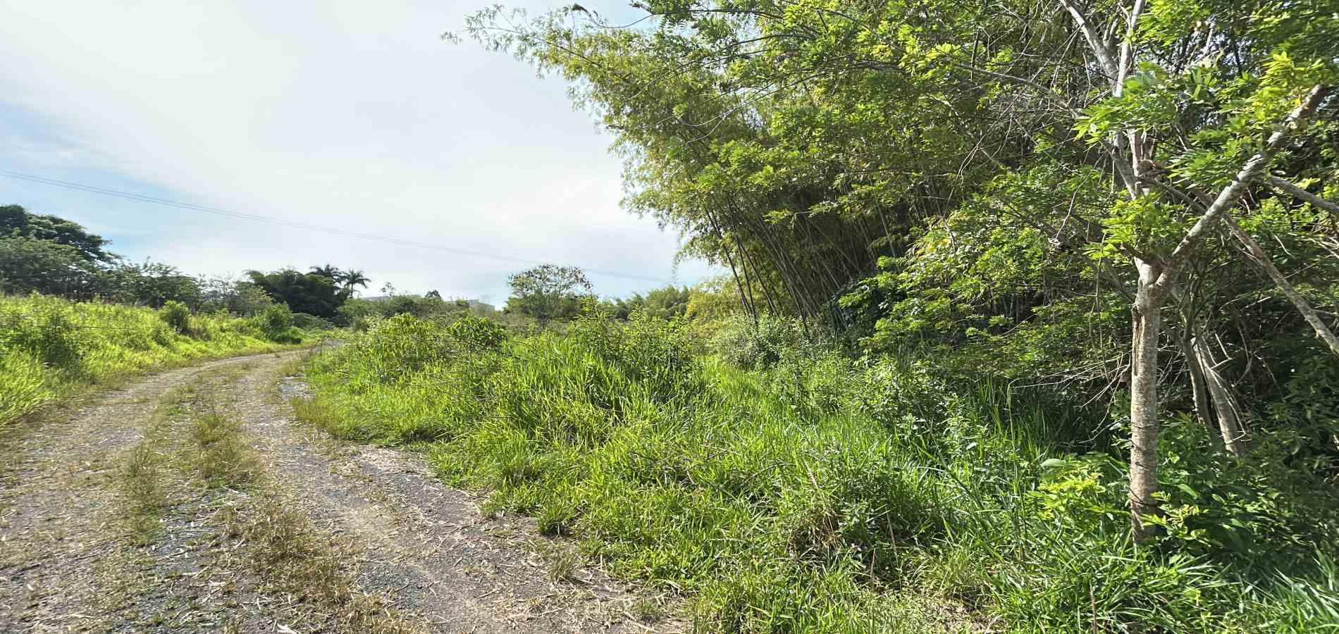 Foto de Lote / terreno en Venta en Cerritos, Pereira - 12 - 279068089