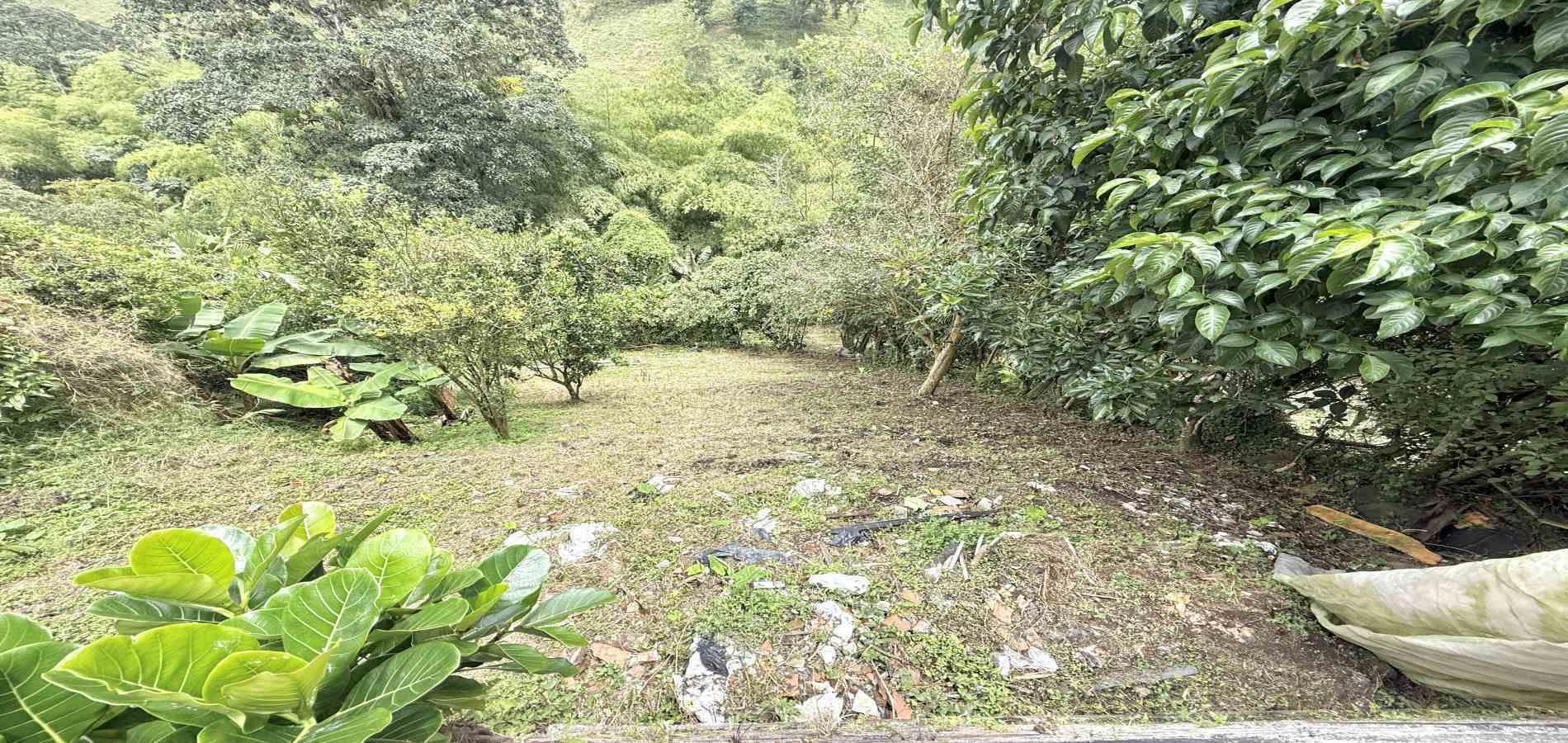 Foto de Casa en Arriendo en Via armenia, Pereira - 1 - 279069080