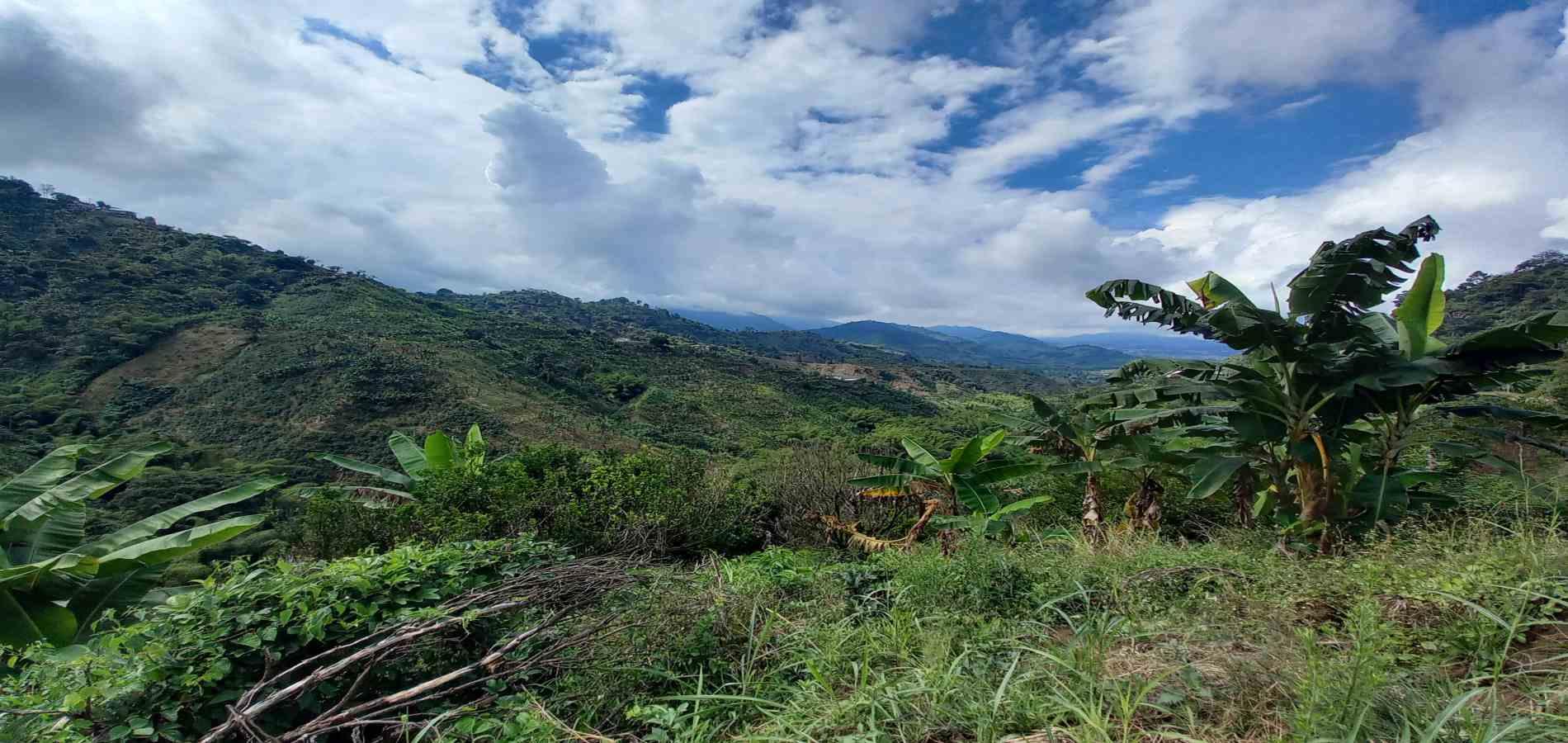 Foto de Finca en Venta en San peregrino, Manizales - 28 - 279061656