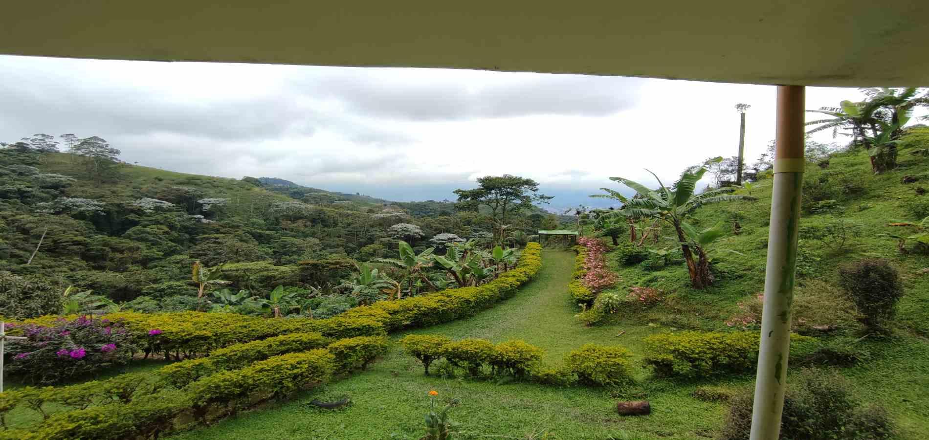 Foto de Finca en Venta en Vereda la independencia alto del nudo, Dosquebradas - 18 - 279065391