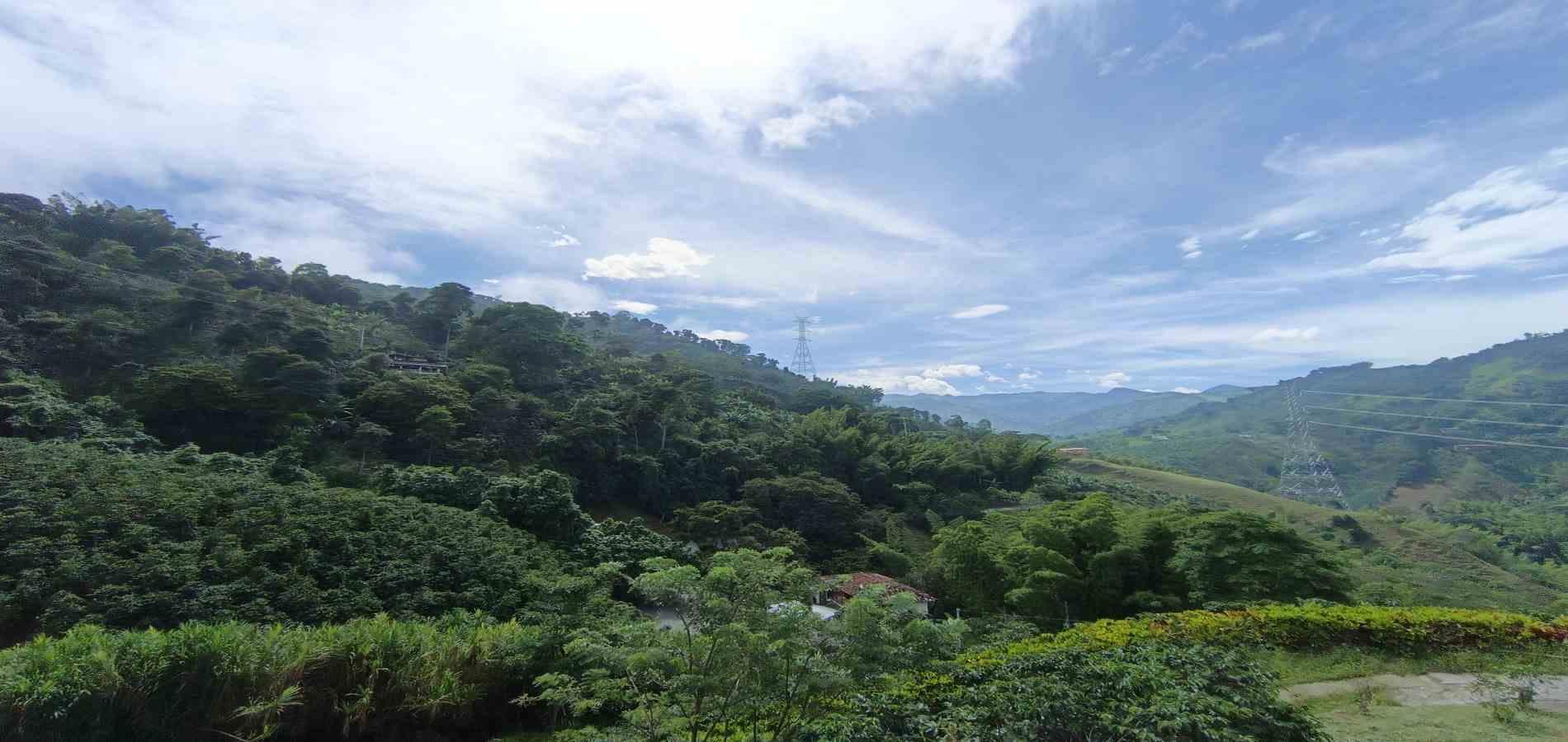 Foto de Finca en Arriendo en El descanso, Neira - 17 - 279069828