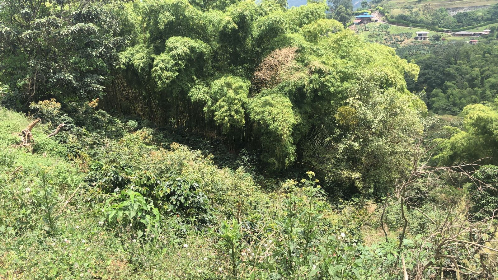 Foto de Lote / terreno en Venta en Dosquebradas, Dosquebradas - 5 - 279053272