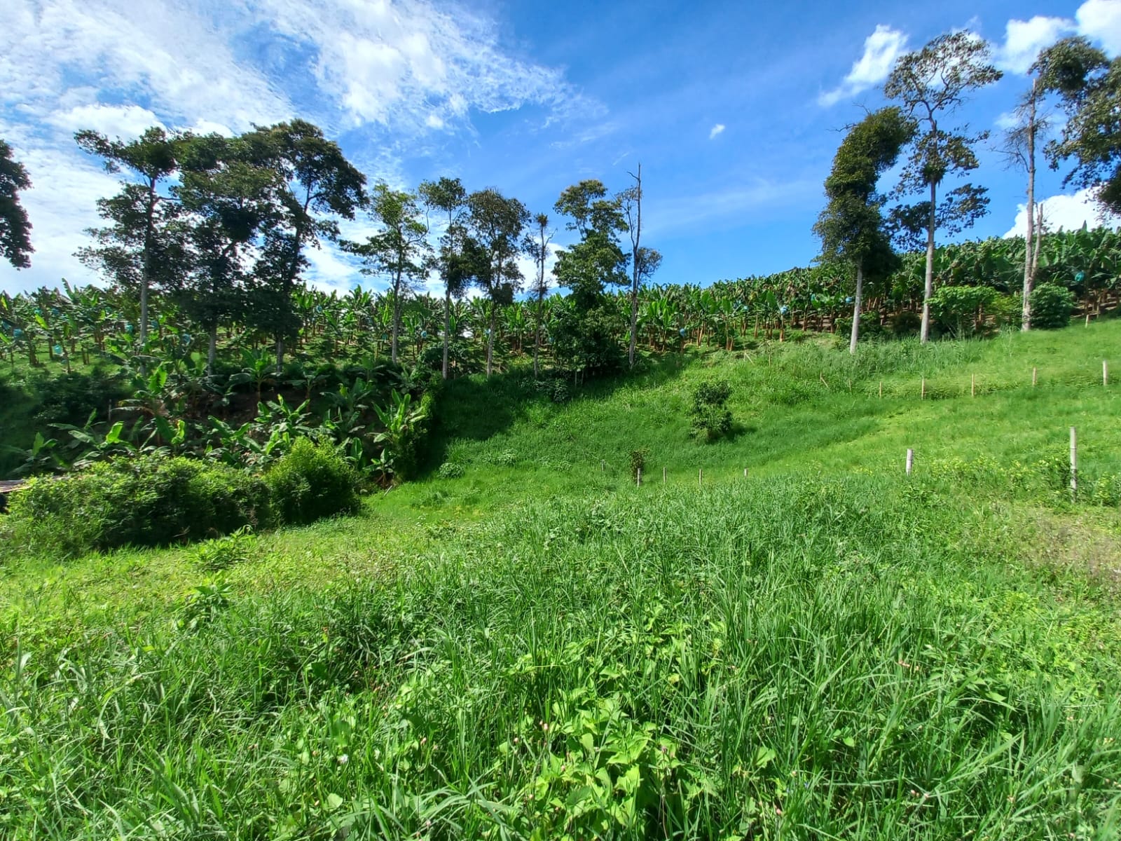 Foto de Lote / terreno en Venta en Vereda altamira, Pereira - 9 - 279067754