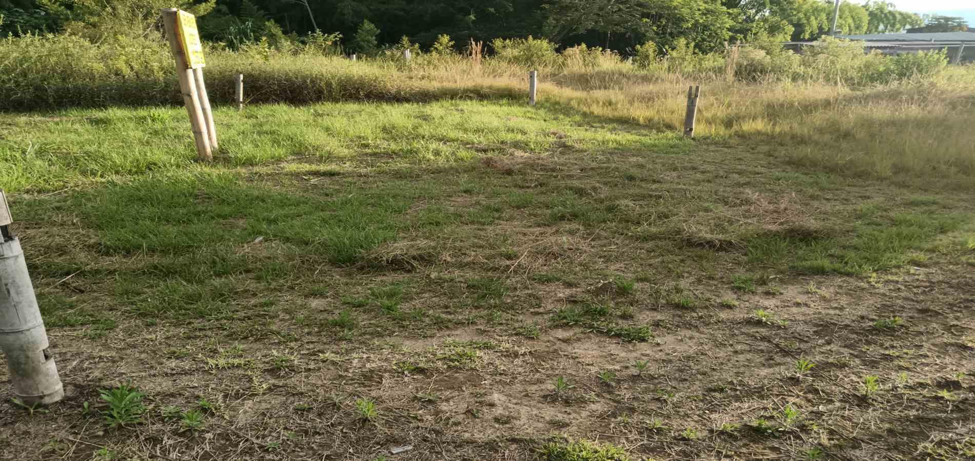 Foto de Lote / terreno en Venta en UrbanizaciÓn santana, Armenia  - 21 - 279059323