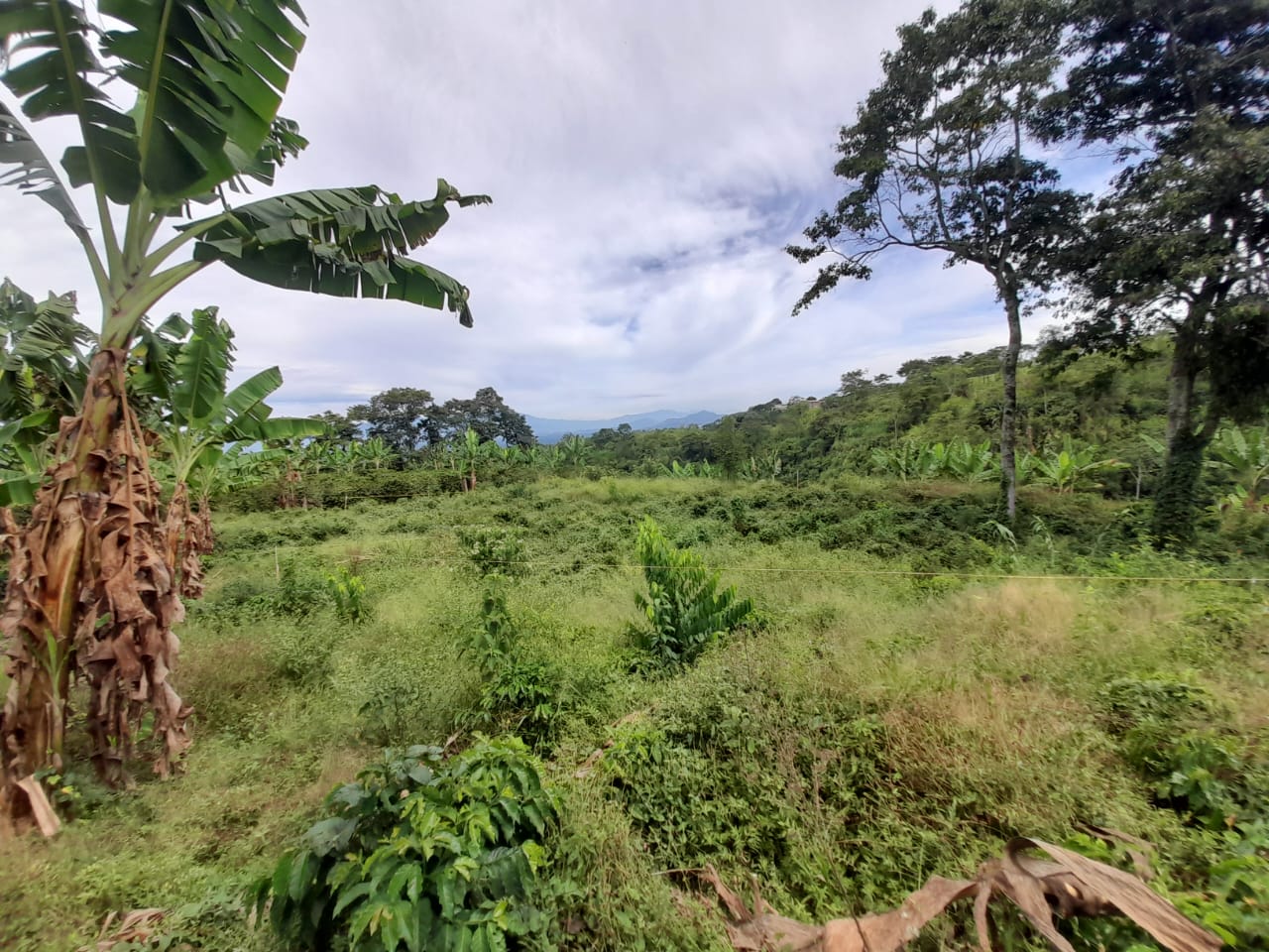 Foto de Lote / terreno en Venta en Arabia, Pereira - 13 - 279059189