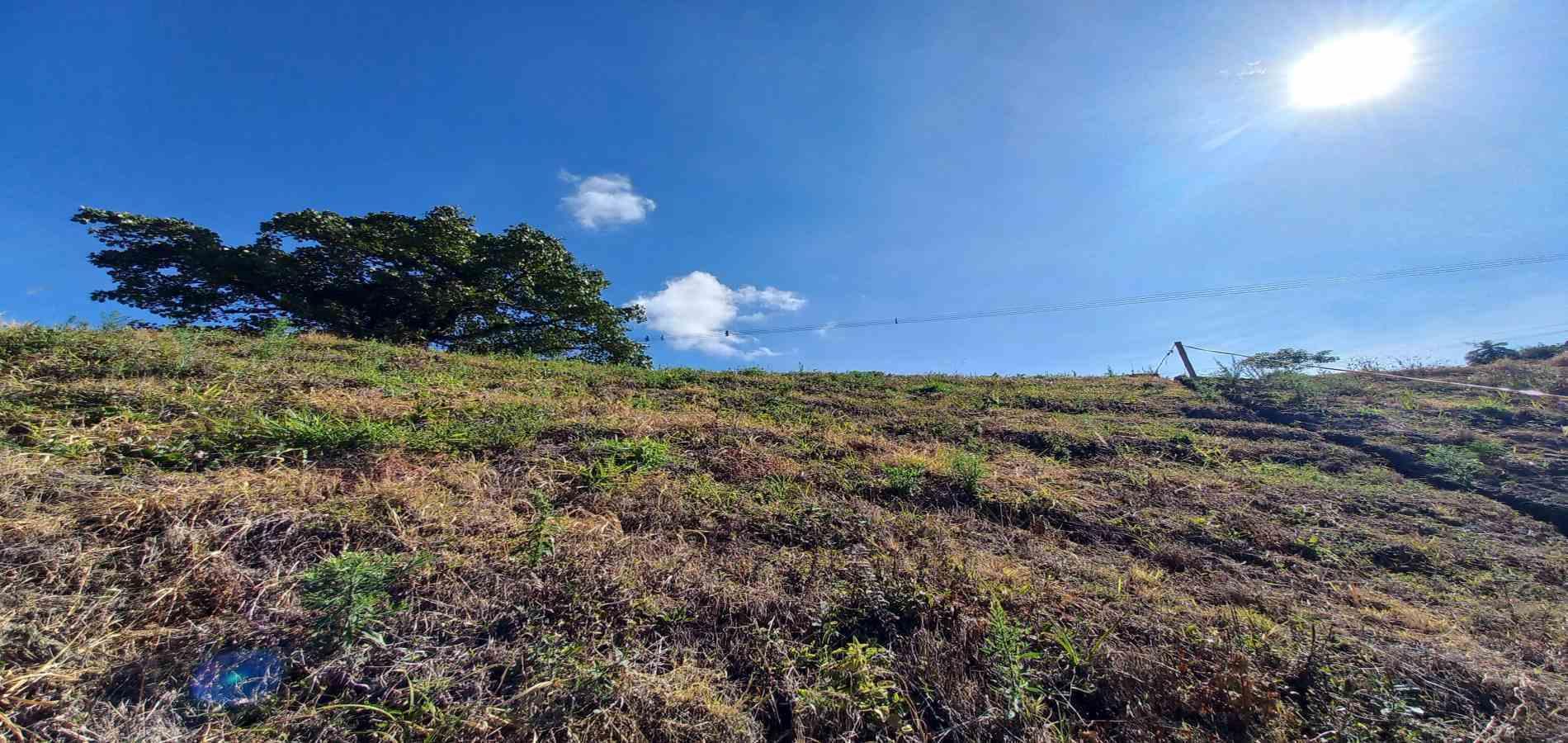 Foto de Lote / terreno en Venta en Vereda guacas, Santa rosa de cabal - 1 - 279067579