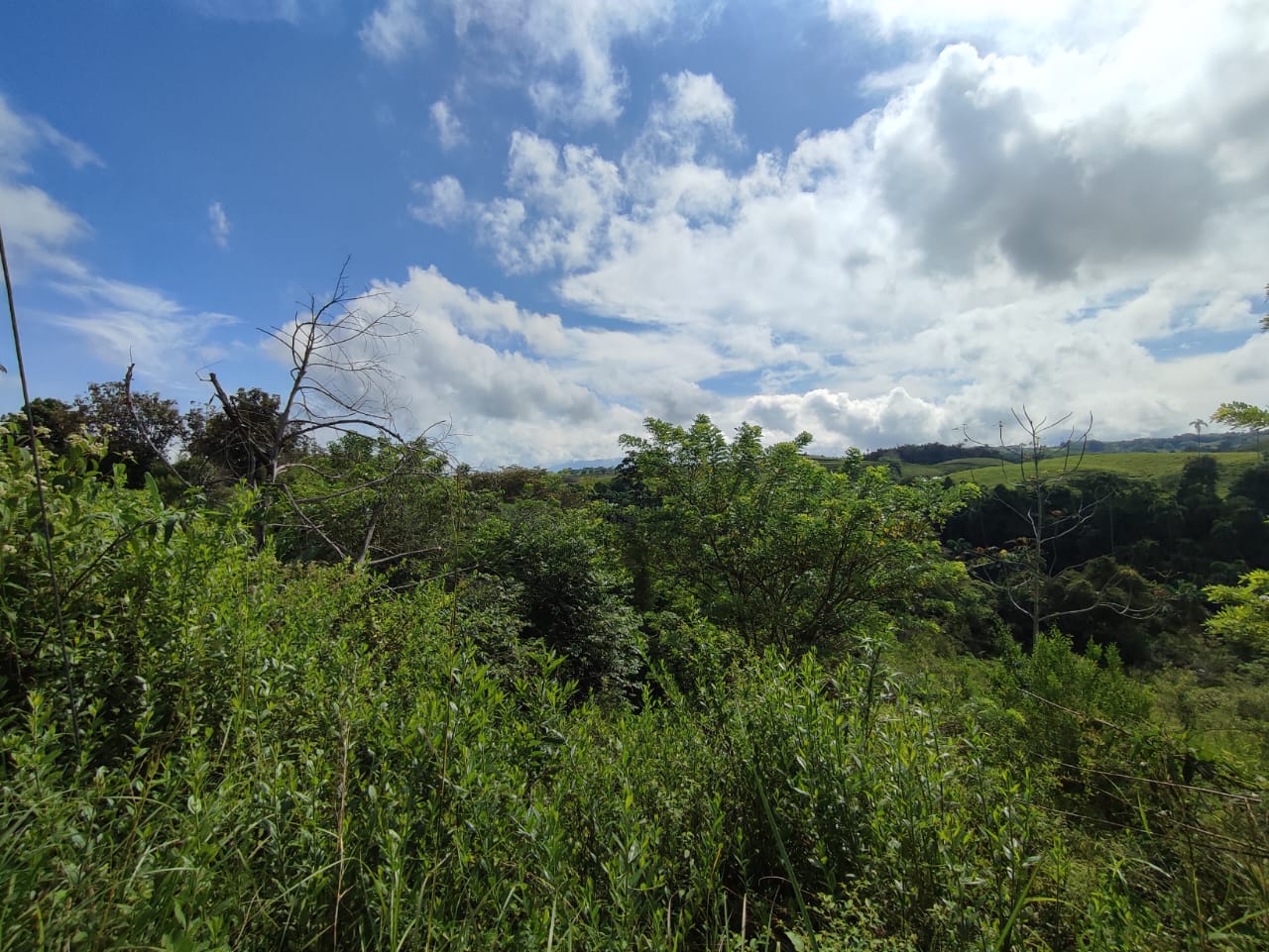 Foto de Lote / terreno en Venta en Cerritos, Pereira - 12 - 279063220