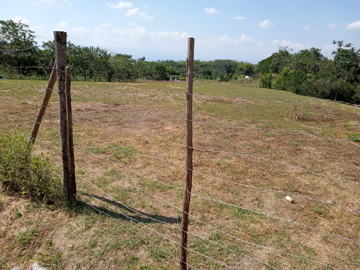 Foto de Lote / terreno en Venta en Combia, Pereira - 2 - 279063700