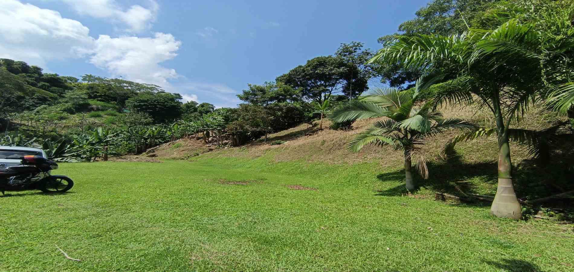 Foto de Lote / terreno en Venta en La plata, Palestina - 13 - 279067174