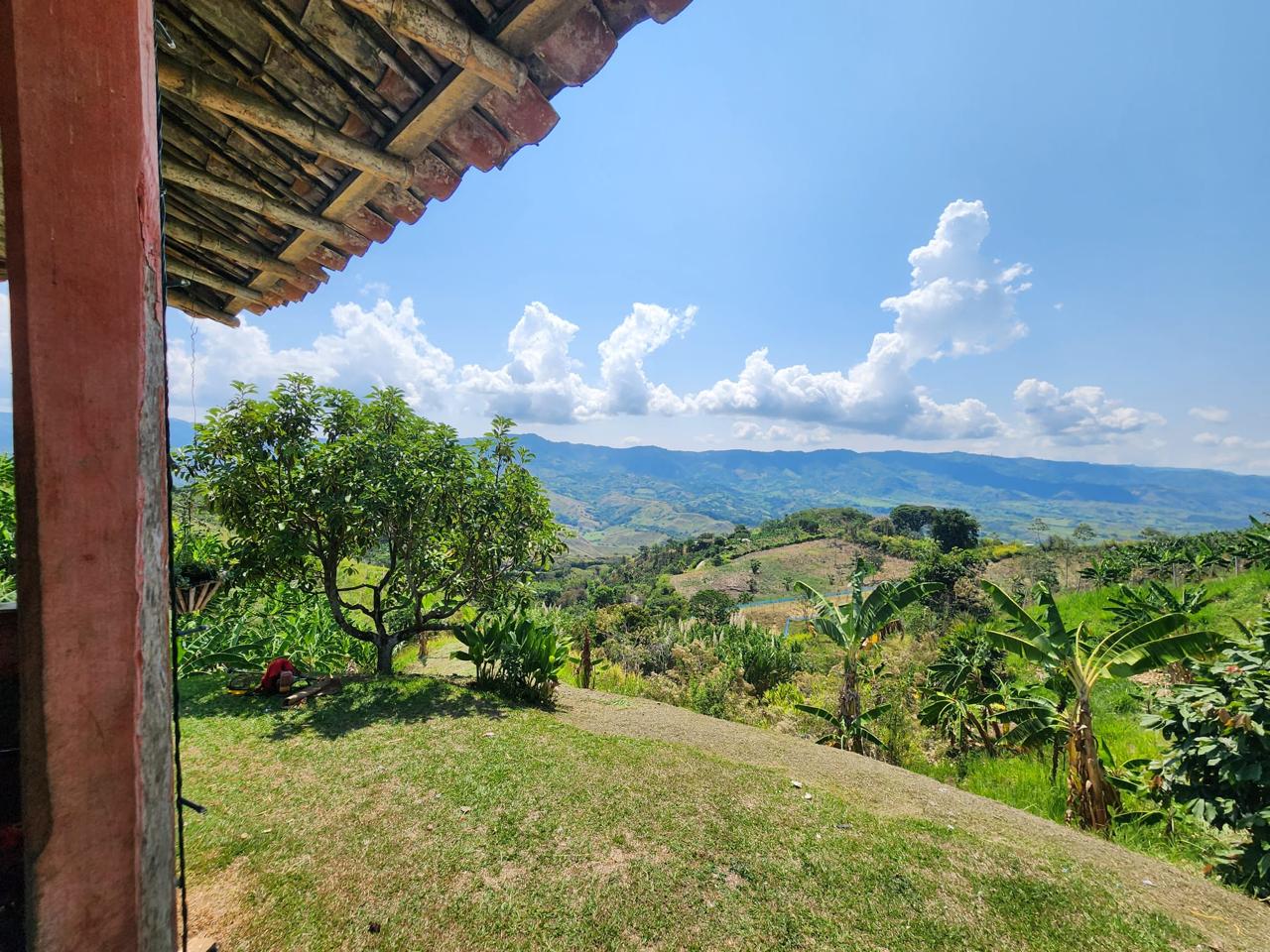 Foto de Finca en Venta en Barrio villa hermosa 2 y robelio suarez, Belen de umbria - 1 - 279056358