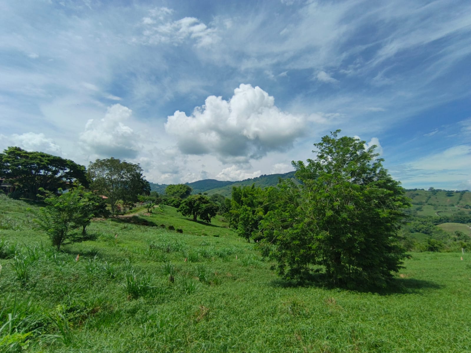 Foto de Lote / terreno para Venta en Vereda santagueda, Palestina - 279065283