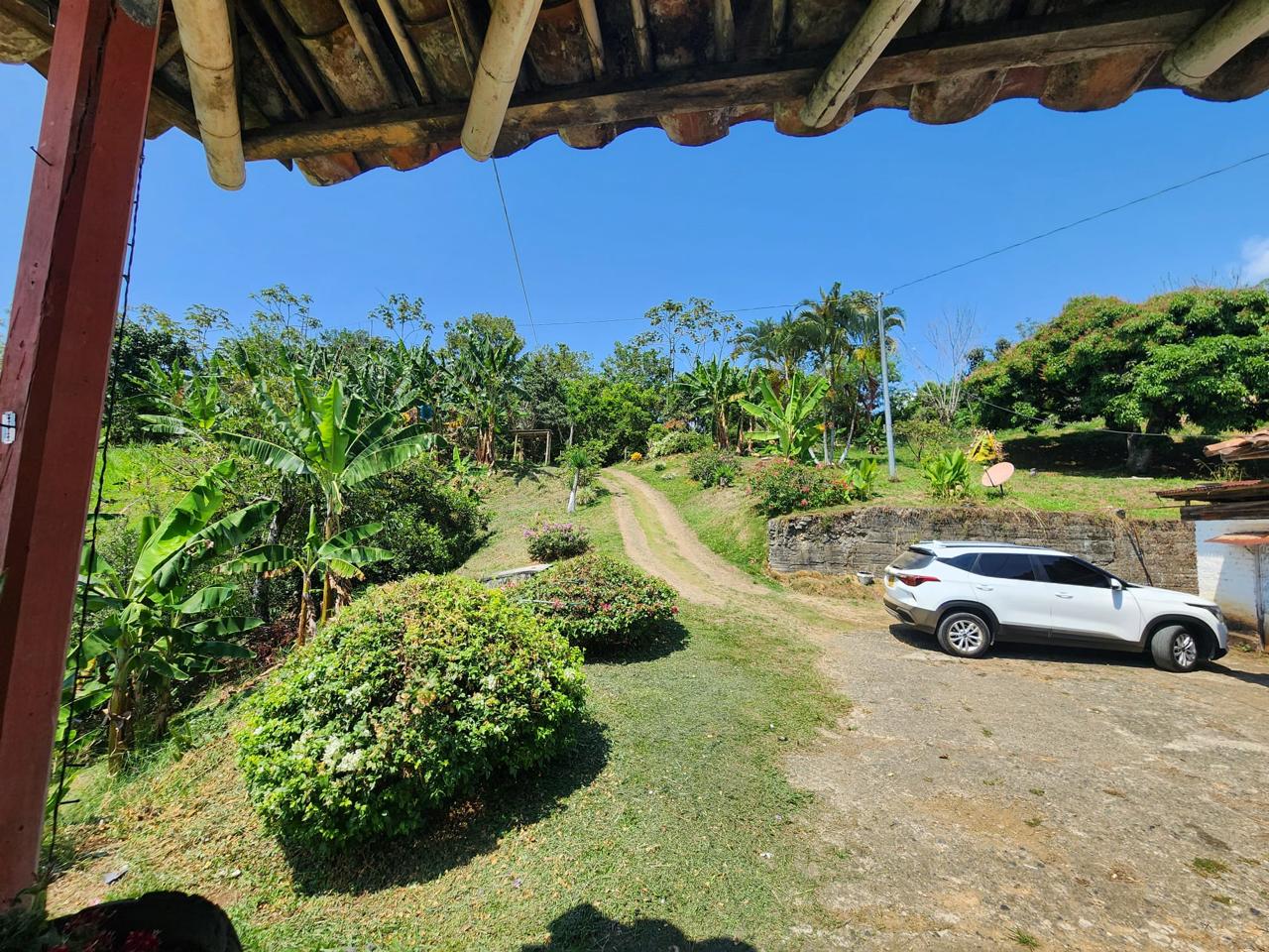 Foto de Finca para Venta en Barrio villa hermosa 2 y robelio suarez, Belen de umbria - 279056358