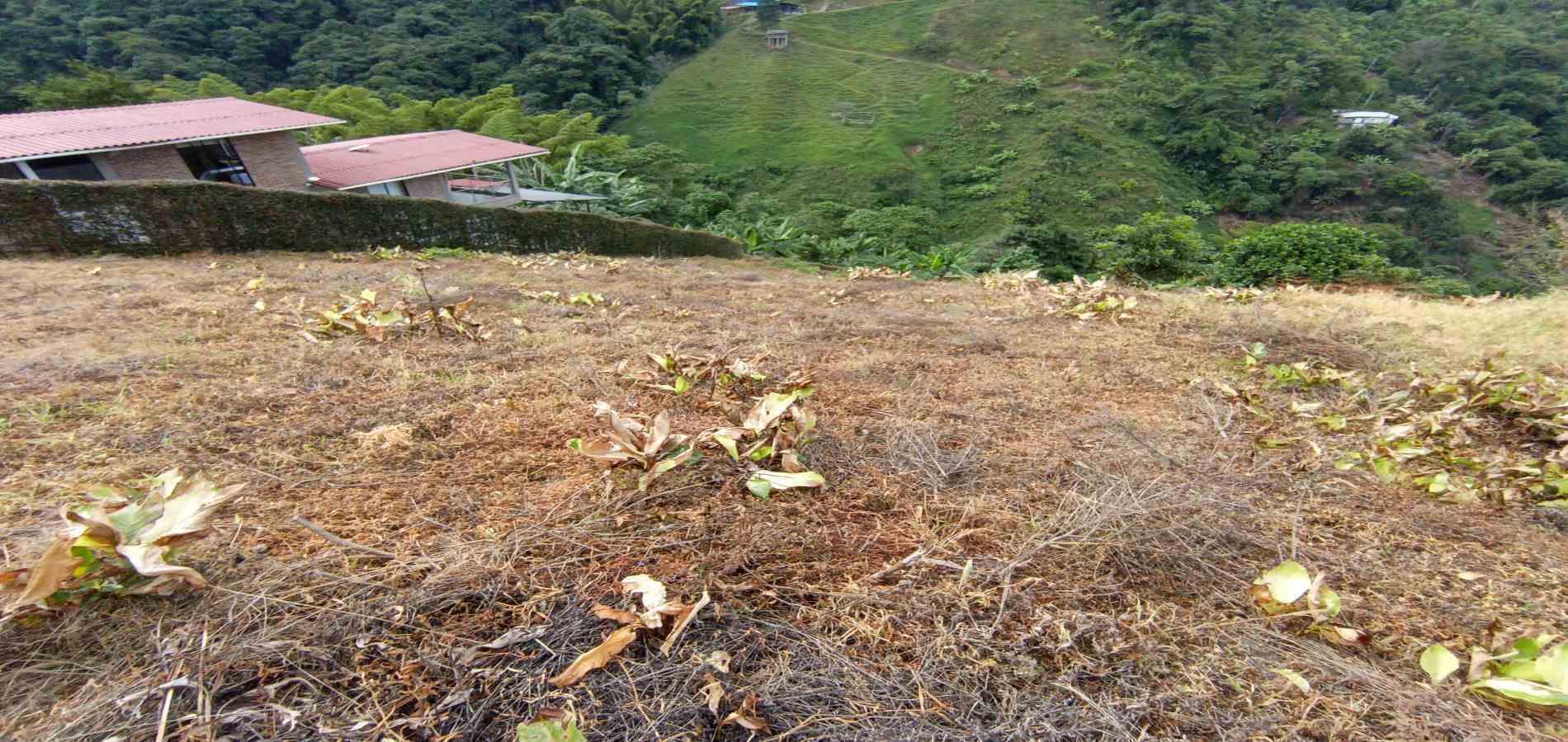 Foto de Lote / terreno en Arriendo en La linda, Manizales - 11 - 279069062